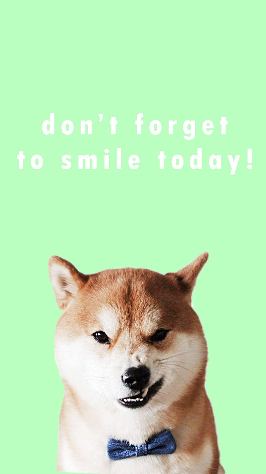 1080x1920 Dog Aesthetic Wallpaper