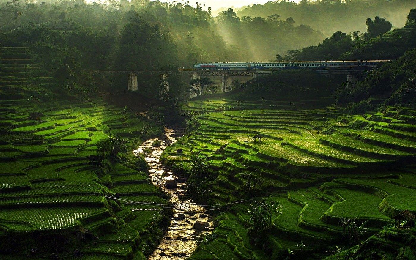 1400x875 #mountains, #nature, #valley, #rice paddy, #field, #Vietnam, #clouds, #sun rays, #mist, #landscape, #terraces, wallpaper. Mocah HD Wallpaper