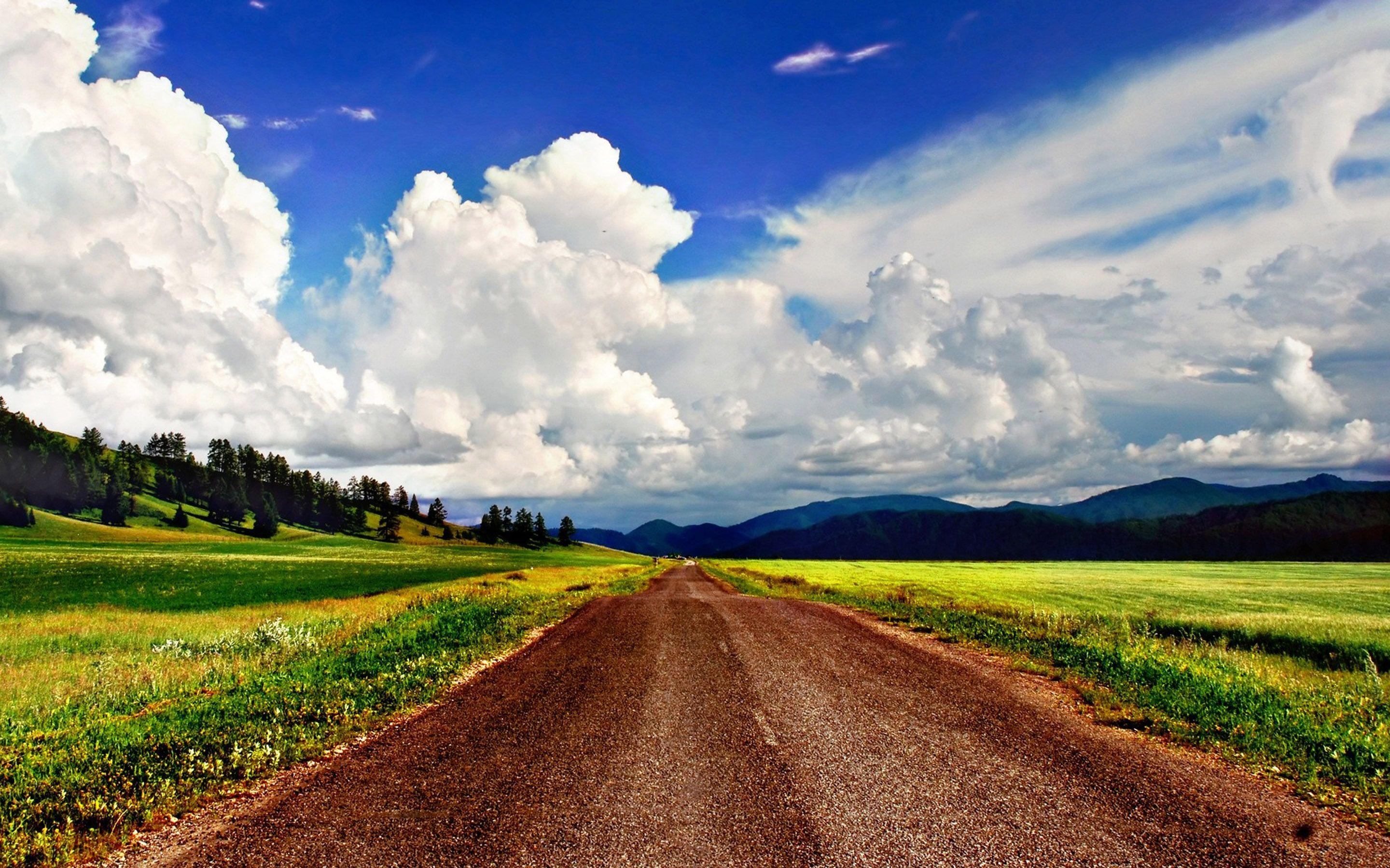 2880x1800 Spring Country Road, Trees, Rice Paddy Field, Blue Sky With White Cloud Wallpaper HD :