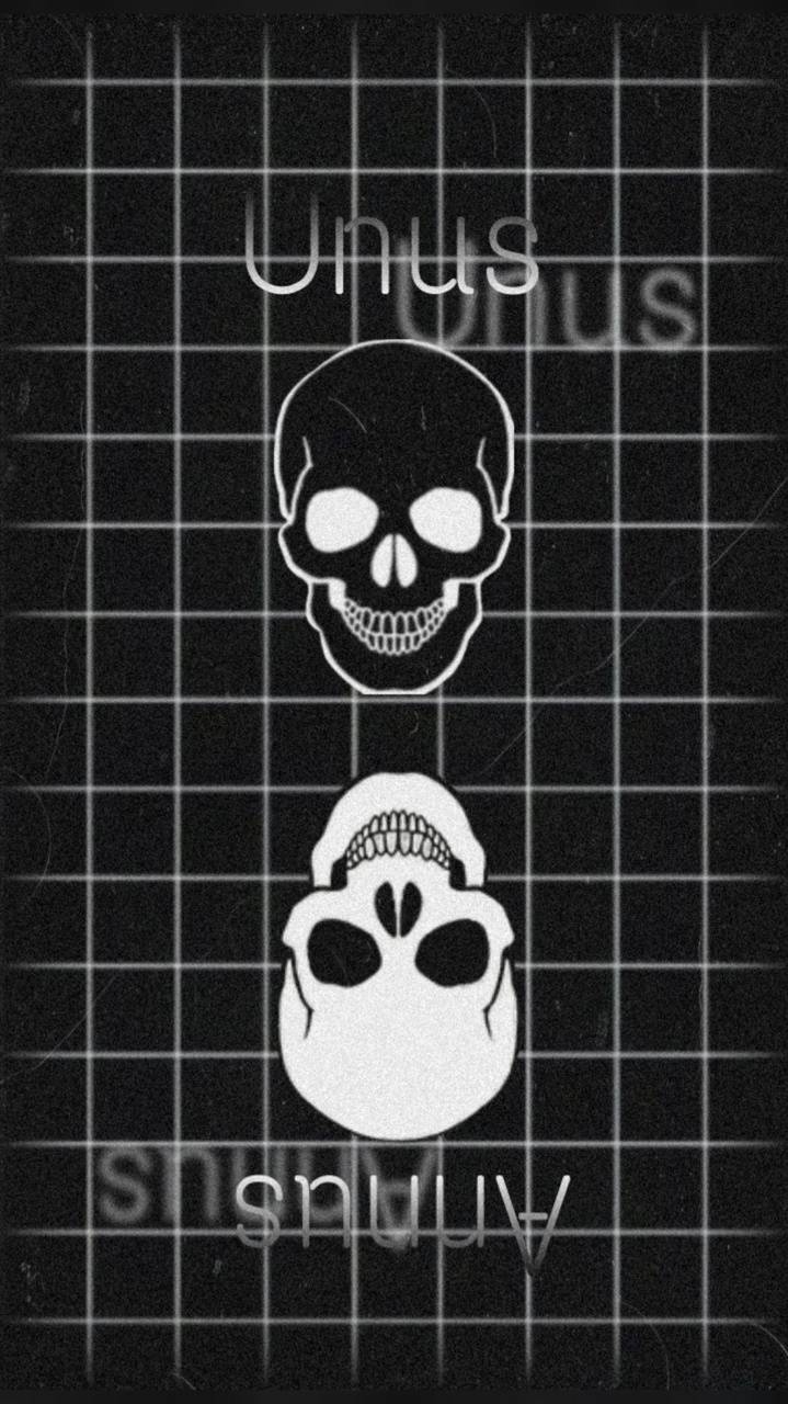 719x1280 Unus Annus wallpaper