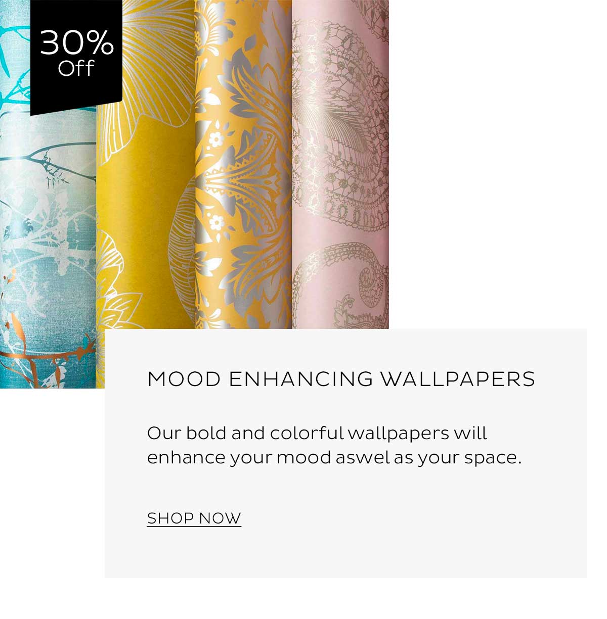 1200x1225 Brochure