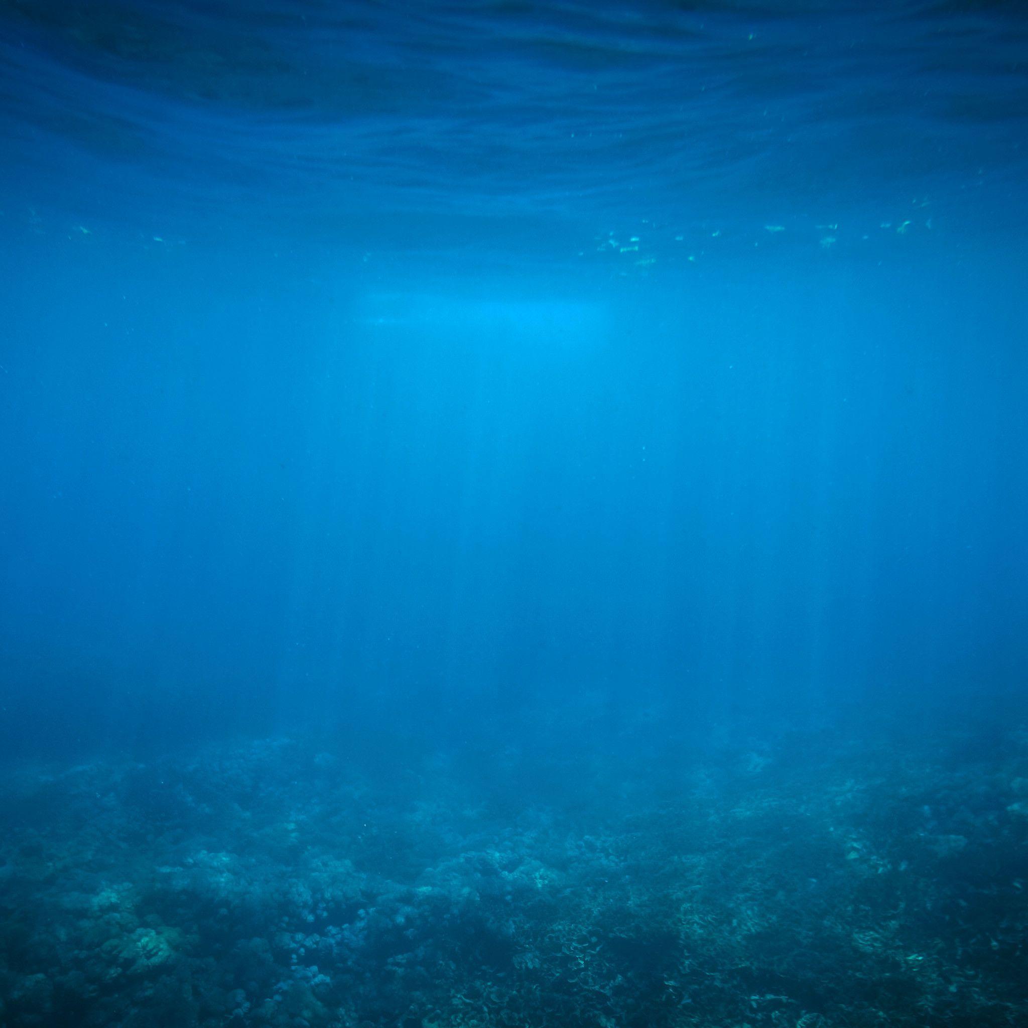 Deep Underwater Wallpapers Top Free Deep Underwater Backgrounds