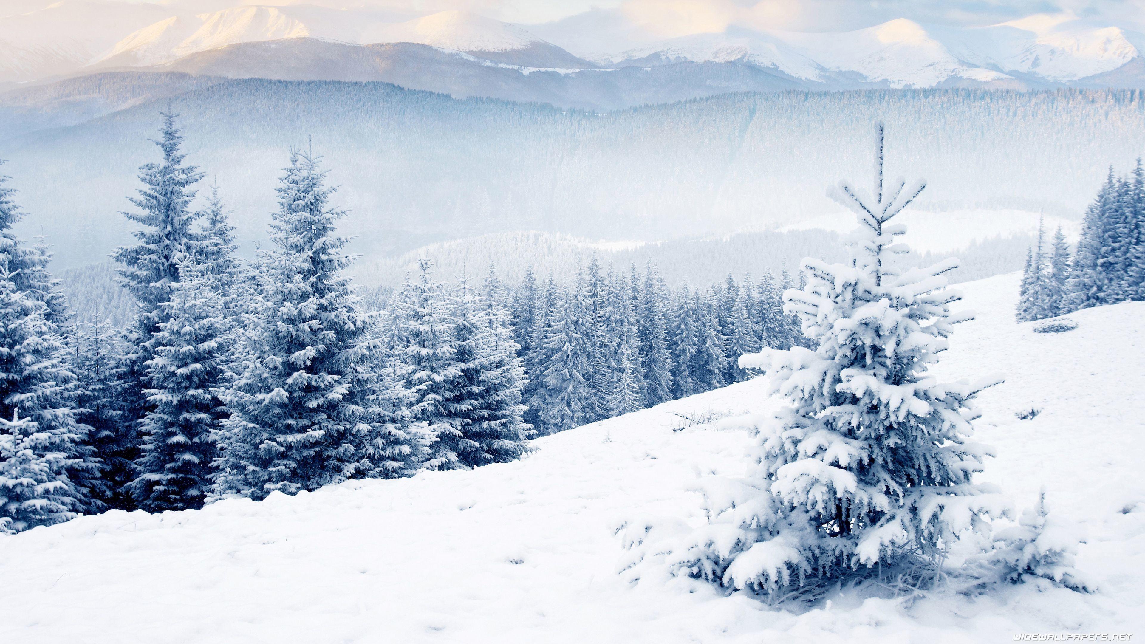 3840x2160 Winter Desktop Wallpaper on WallpaerChat