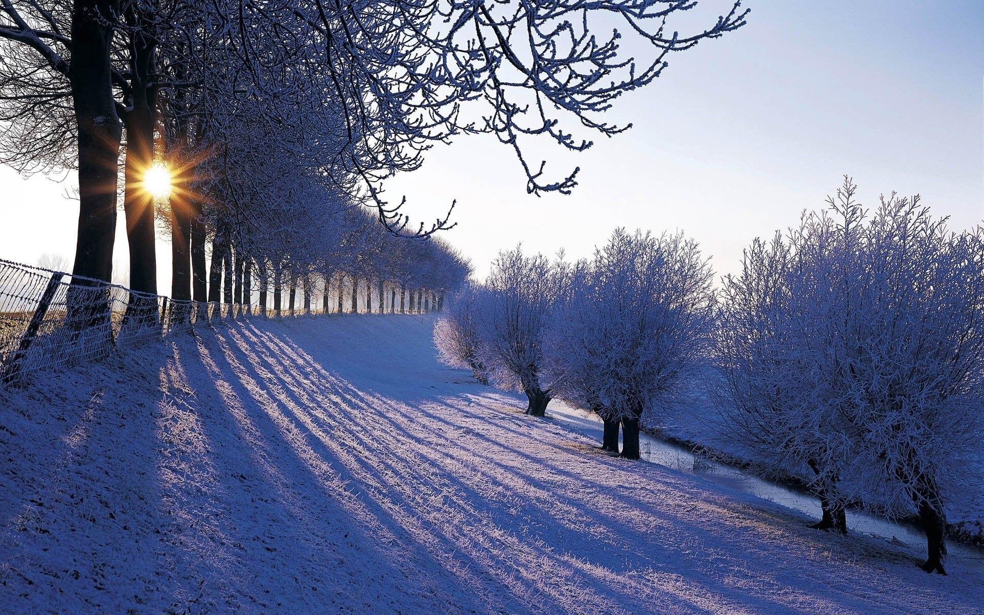 1920x1200 Beautiful Winter Season Free Hd Wallpaper For Desktop