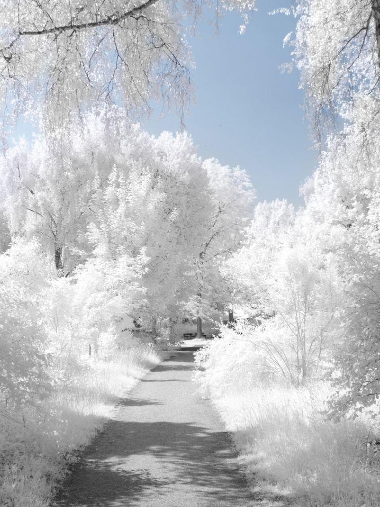 768x1024 Winter Wallpaper For Desktop Wallpaper Beautiful Winter Cas Sims 4 HD Wallpaper