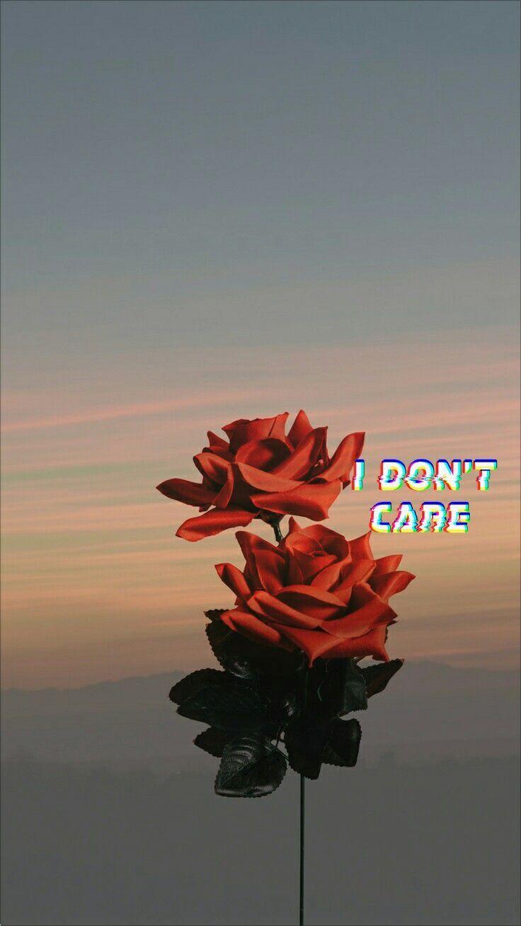 736x1308 Edited Wallpaper. Girl wallpaper, Friend picture, Wallpaper