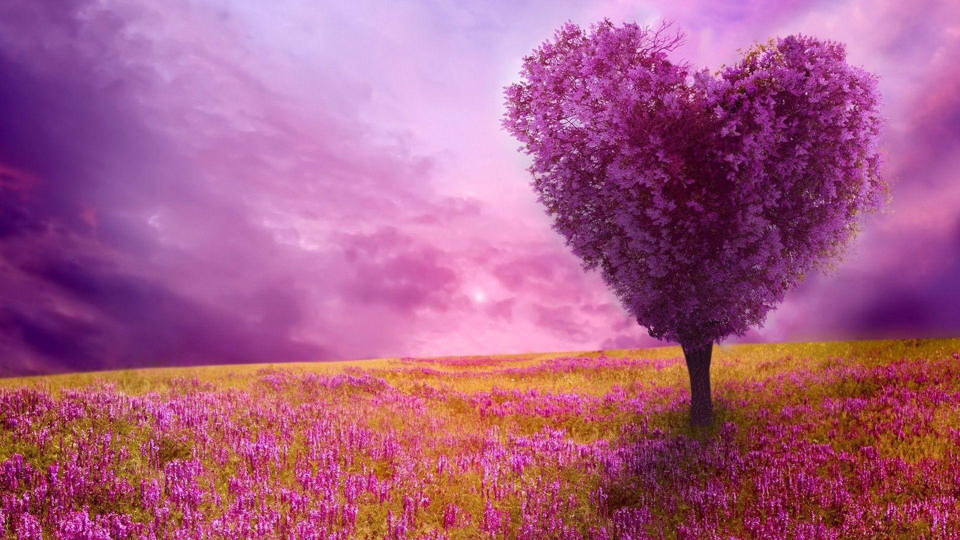 Beautiful Nature Spring Wallpapers - Top Free Beautiful Nature Spring ...