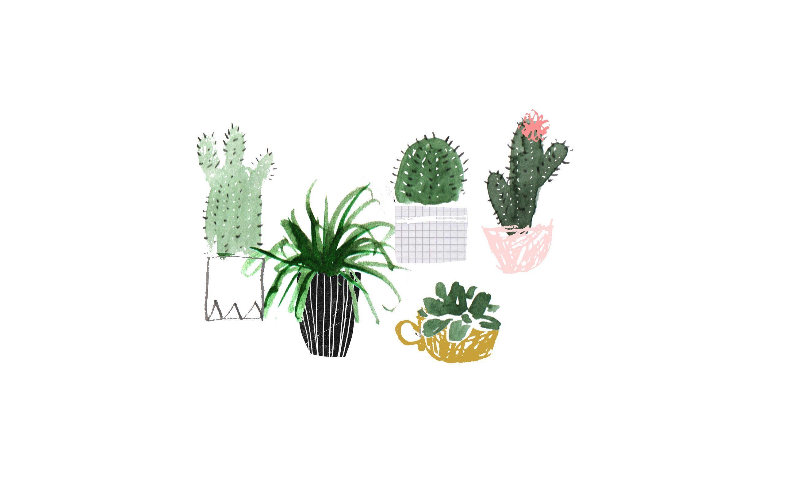 2560x1600 Minimalist Aesthetic Desktop Wallpaper Plants