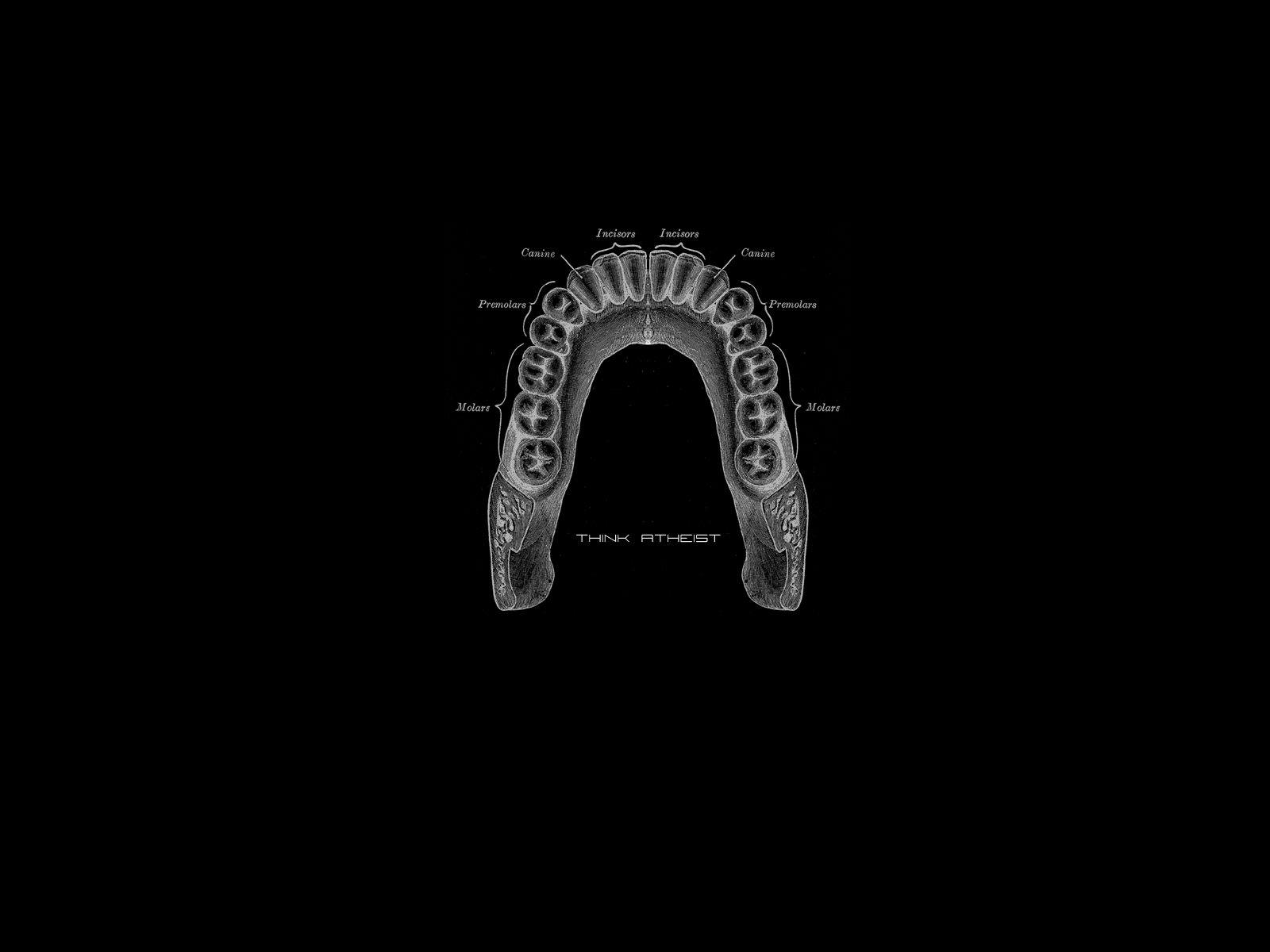 1600x1200 Atheist Wallpaper for Computer