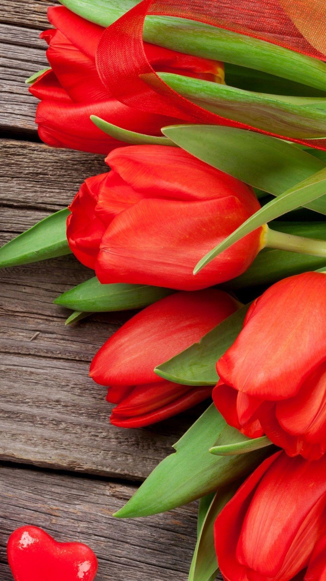 Red Tulip Wallpapers Top Free Red Tulip Backgrounds WallpaperAccess