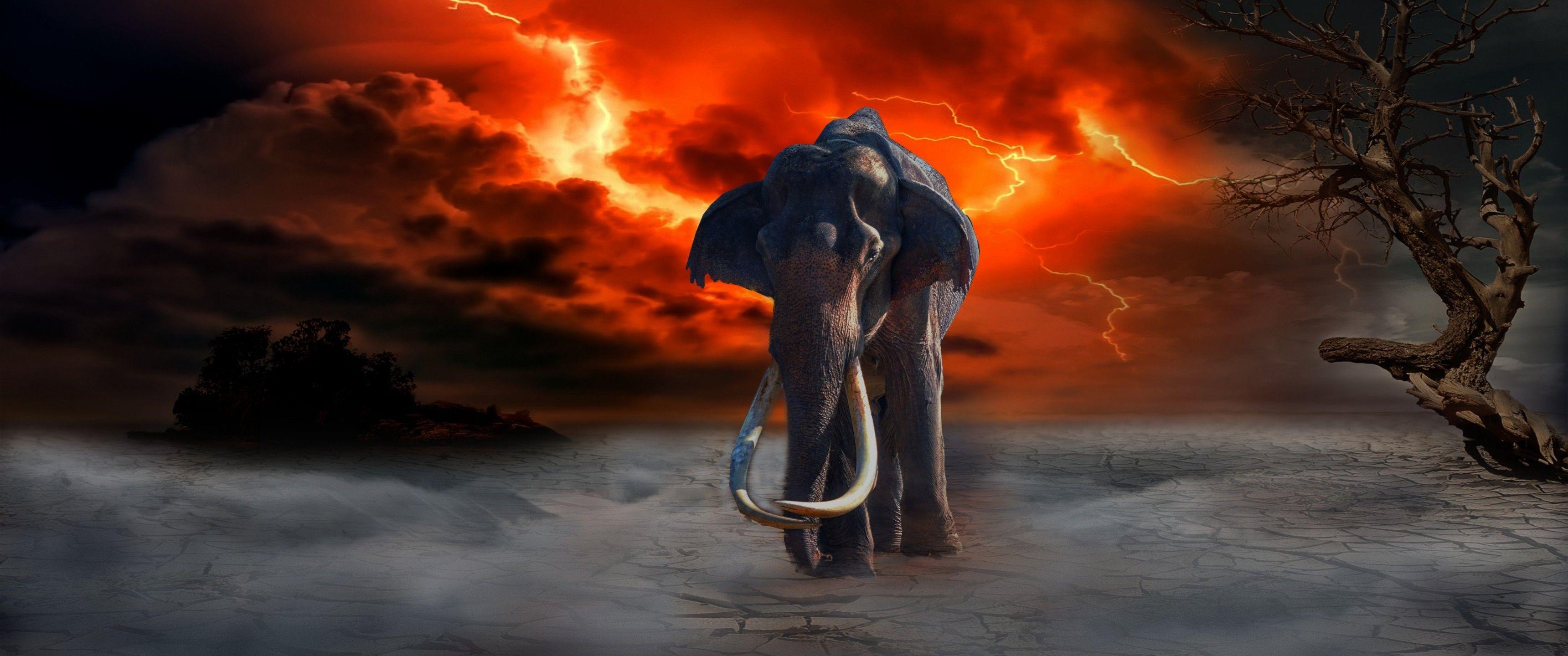 3440x1440 Download 3440x1440 Elephant, Fire, Lightning, Photohop Wallpaper