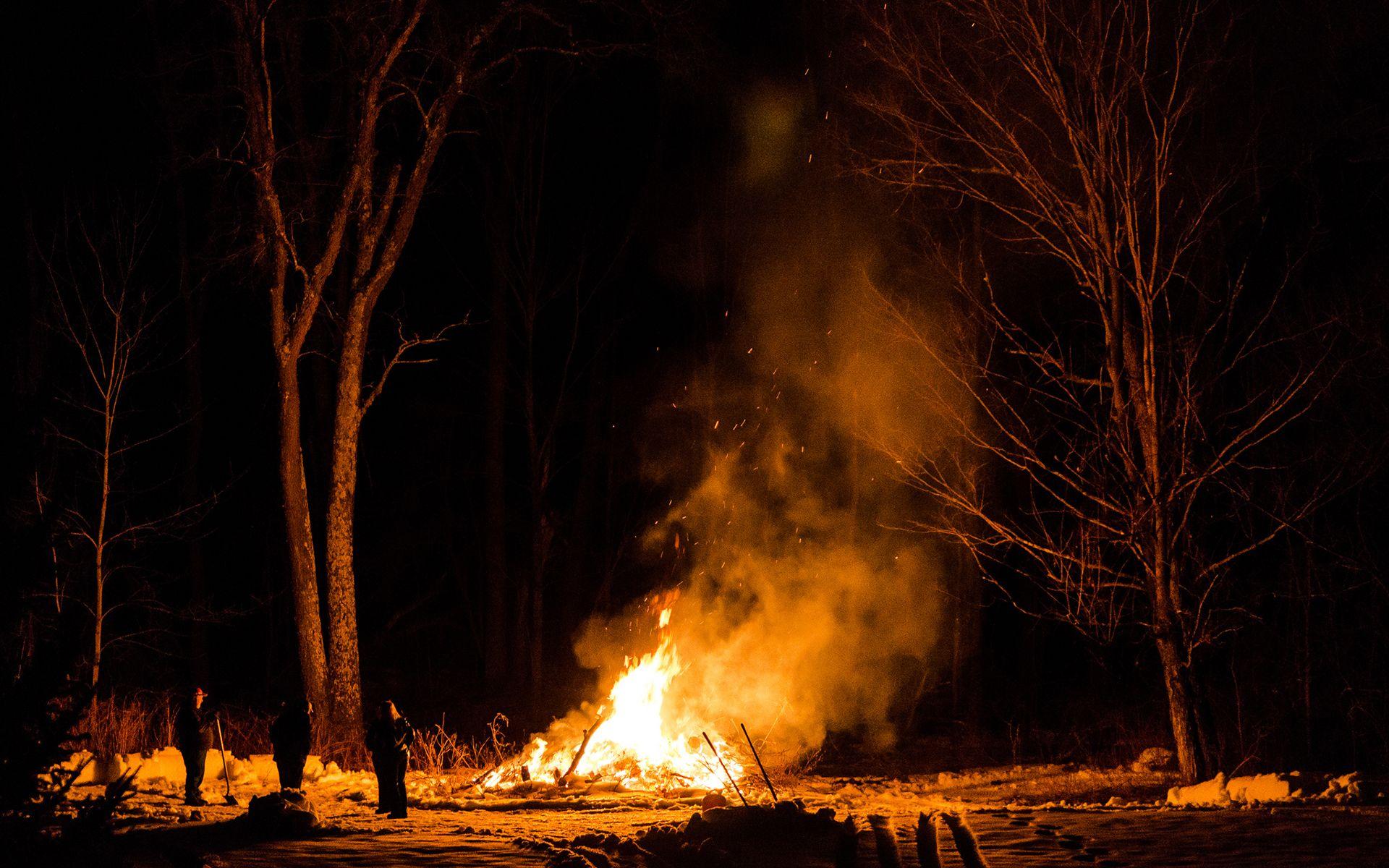 1920x1200 fire, Night, Trees, Camp, Fire Wallpaper HD / Desktop and Mobile Background