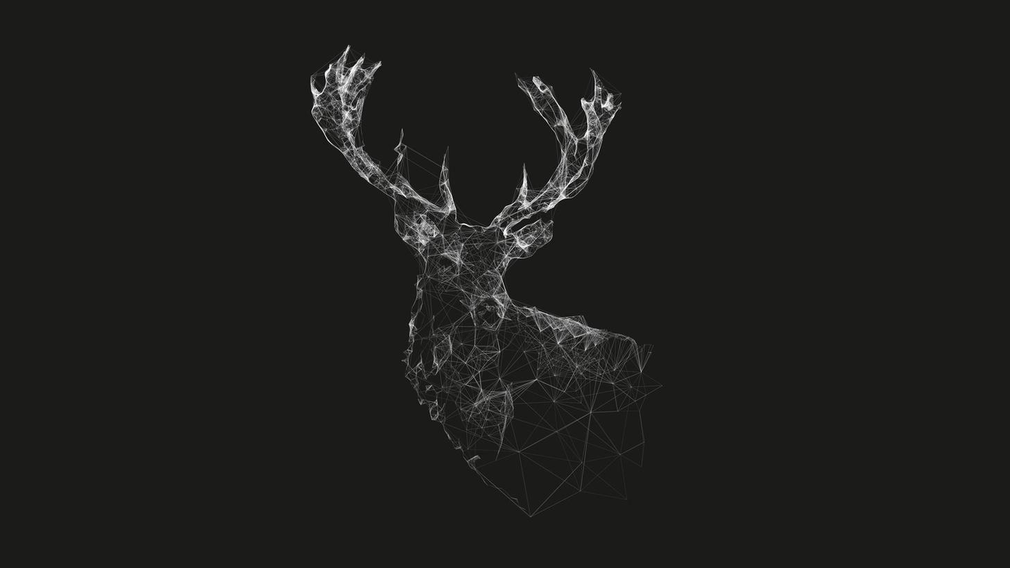 1456x819 Found what could be a screenshot of a deer in Plexus. If it is, how would you go about using the effect on a picture?. Deer artwork, Deer sketch, Digital wallpaper