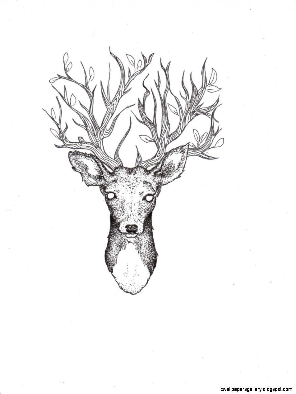 952x1265 Wallpaper Drawing