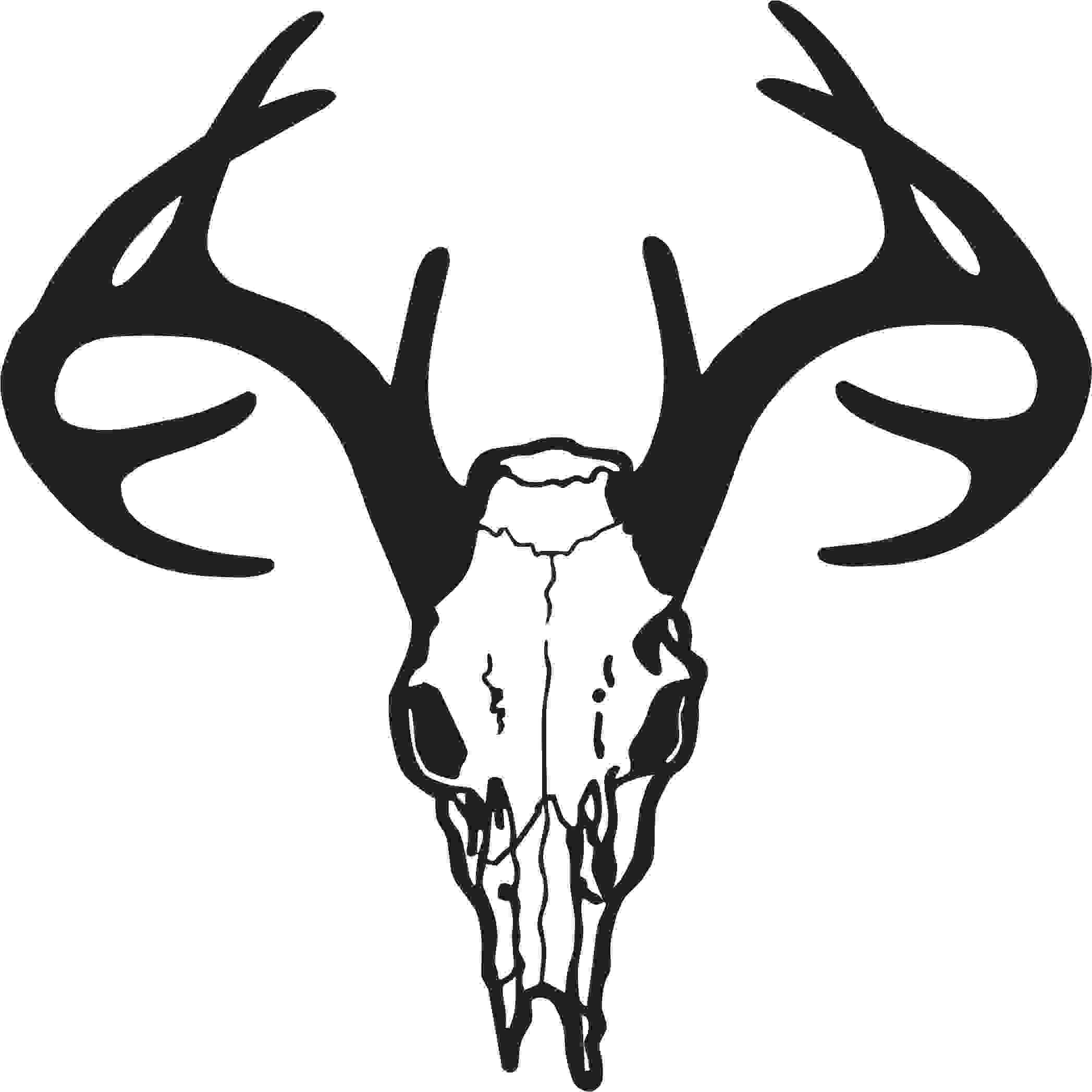 2095x2095 Deer Skull Drawing Free Clipart Image Skull Vector Png