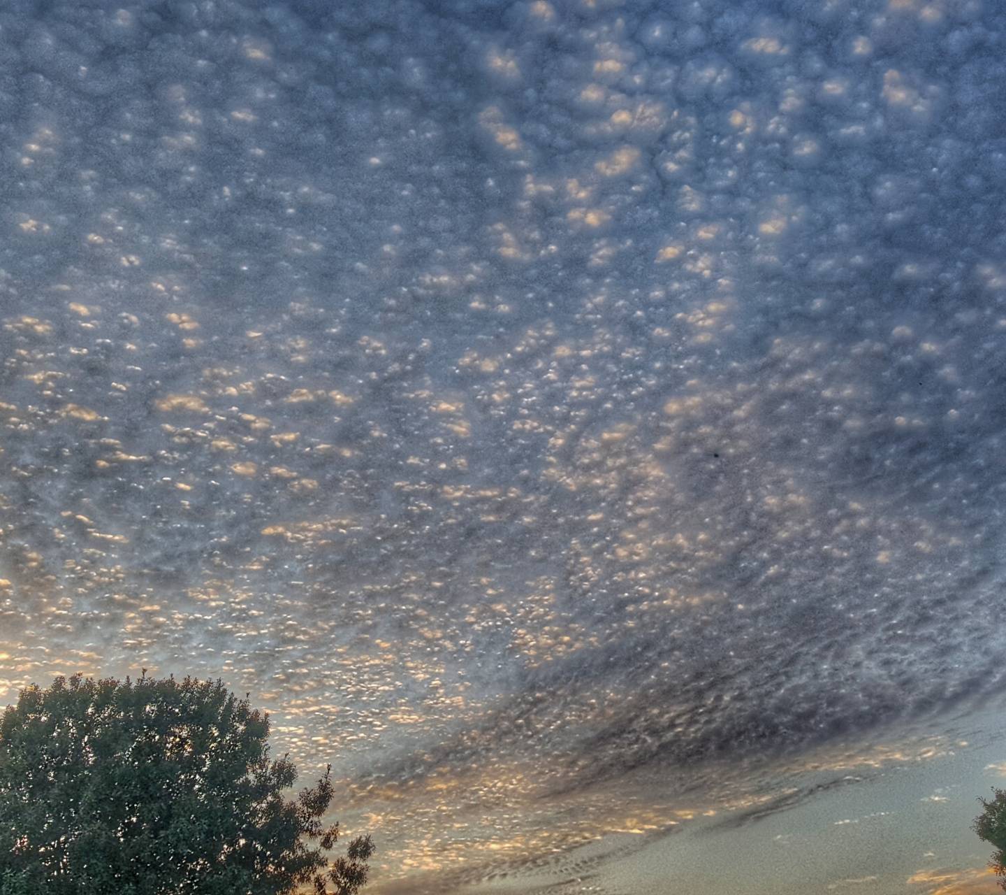 1440x1280 Texas Sky wallpaper