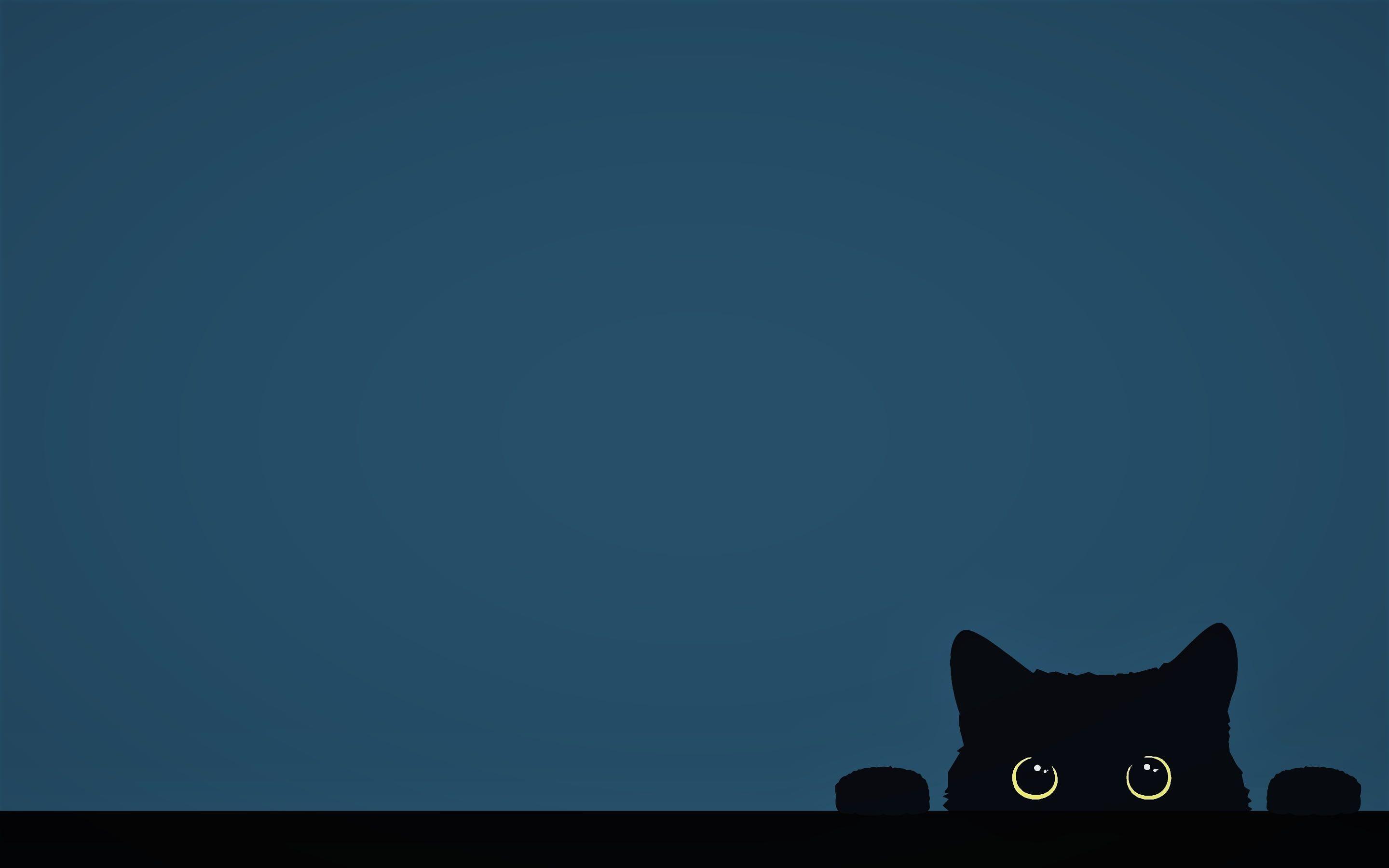 Aesthetic Cats Computer Wallpapers Top Free Aesthetic Cats Computer