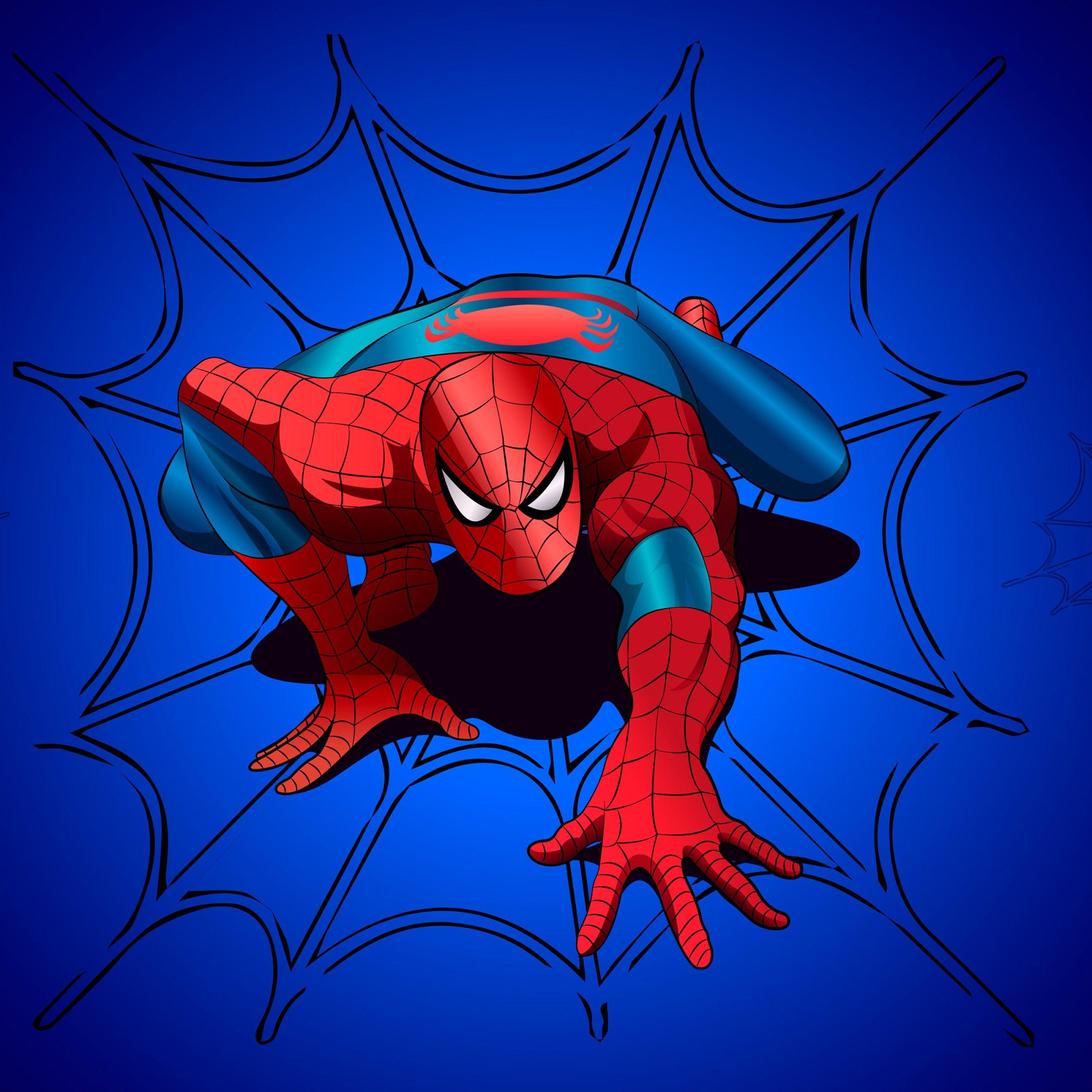 2560x2560 Spider Man 4K Wallpaper, Blue Background, Graphics CGI