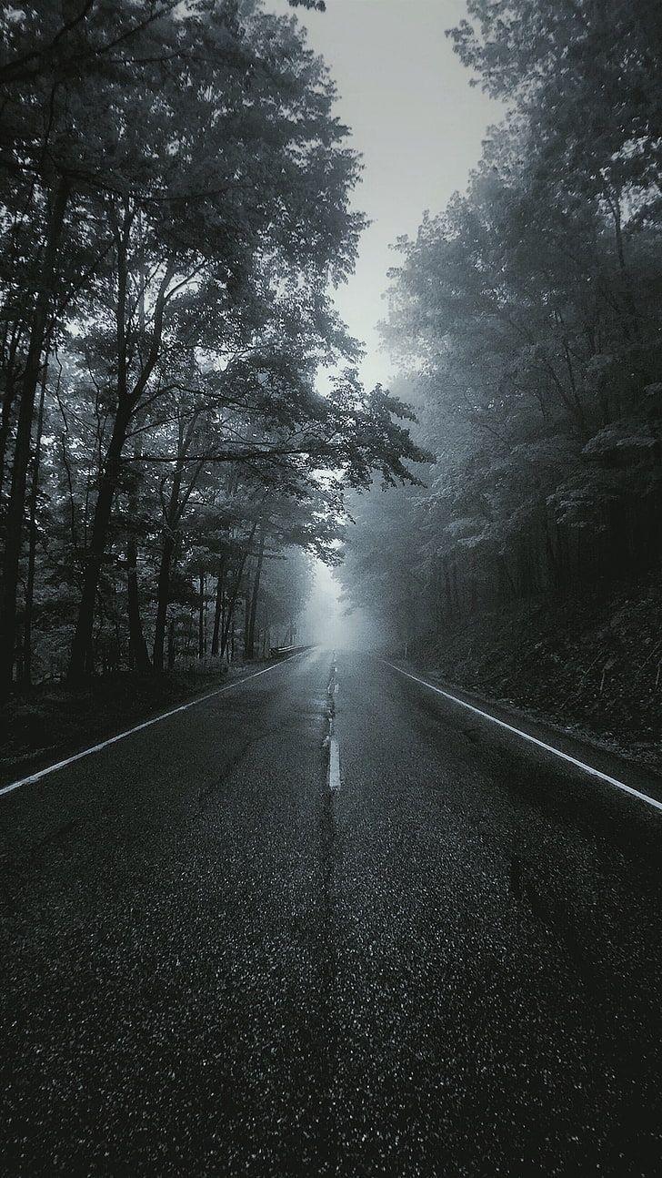 728x1294 HD wallpaper: asphalt road, portrait