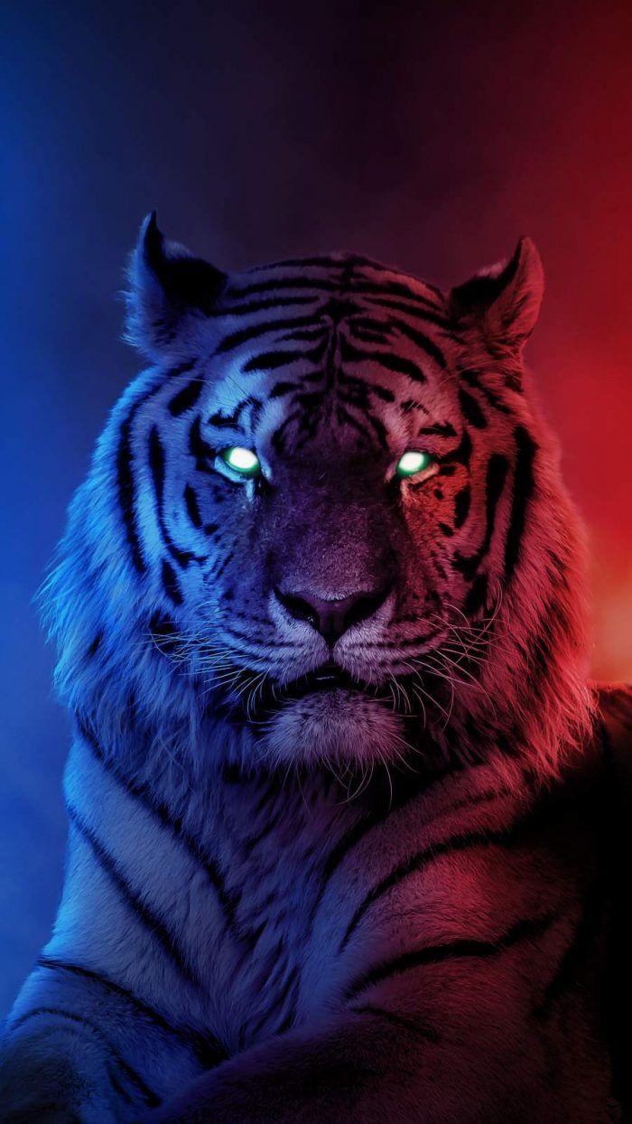 Tiger Wallpaper HD  Ứng dụng trên Google Play