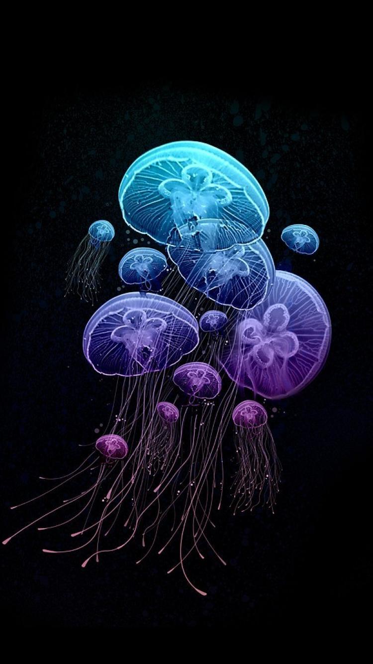 750x1334 Jellyfish Wallpaper For Phone HD Wallpaper