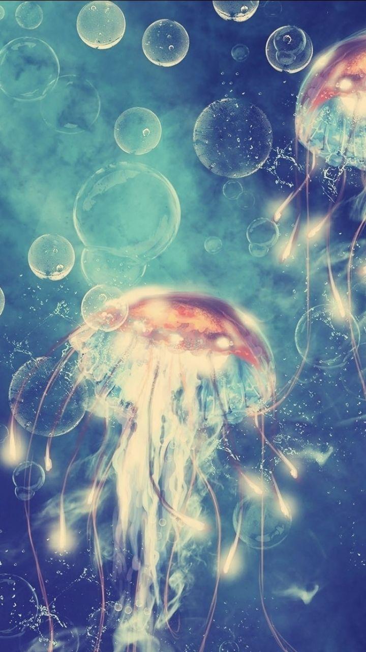 720x1280 Cool Jellyfish Wallpaper Mobile