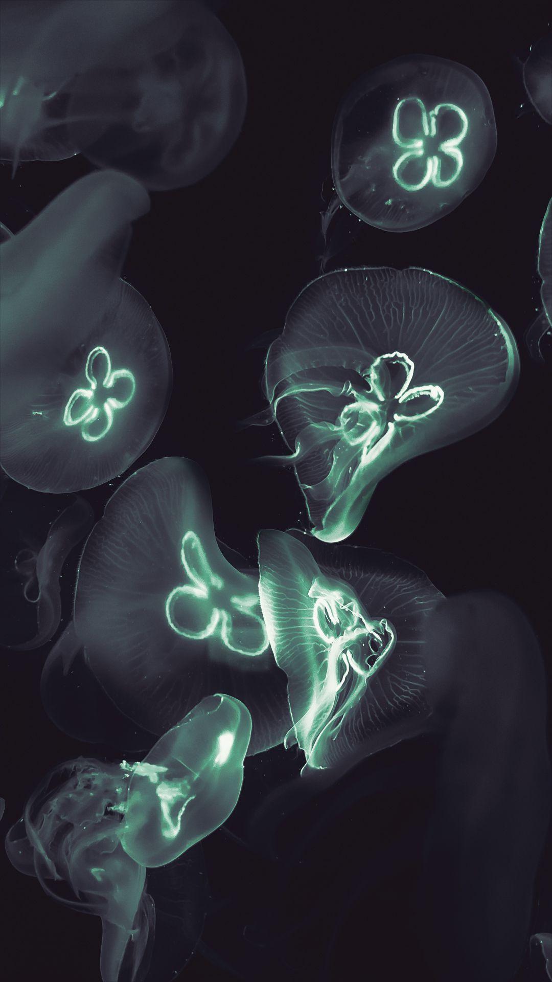 1080x1920 Glowing Jellyfish Wallpaper
