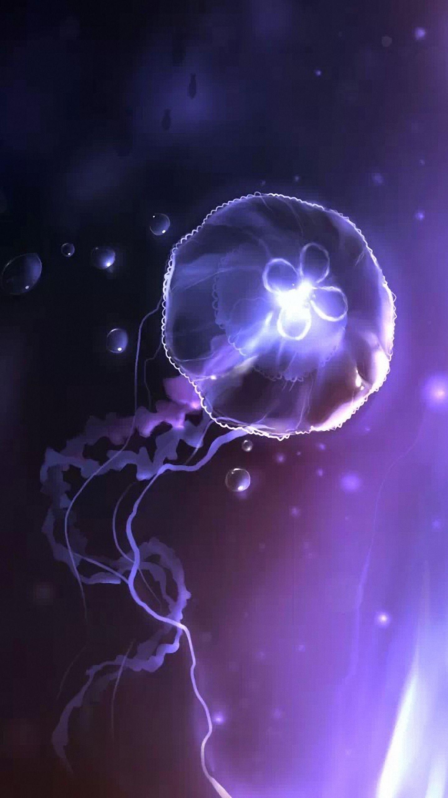 1440x2560 Princess Jellyfish Phone Background. iPhone Wallpaper, Phone Wallpaper and Beautiful iPhone Wallpaper