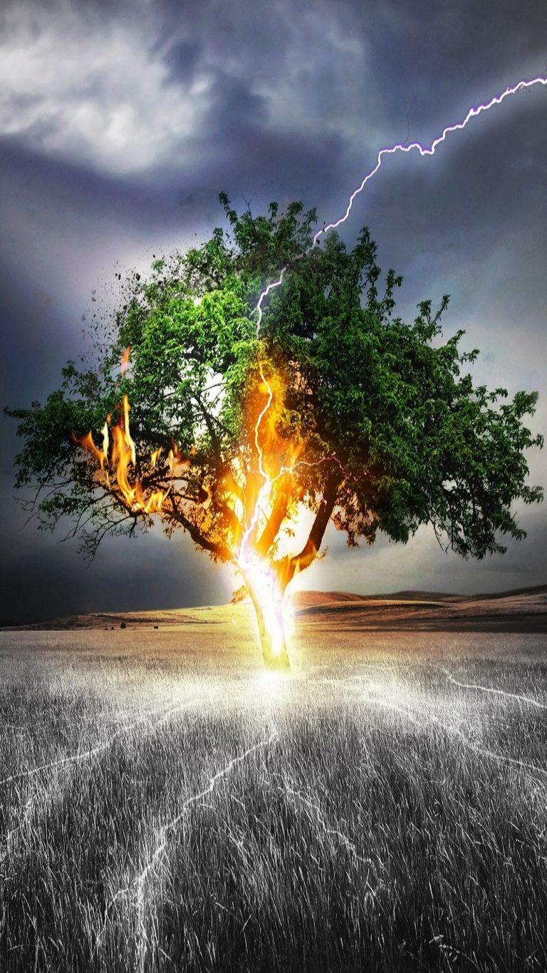 768x1365 Lonely Tree Wallpaper - [1080x1920]