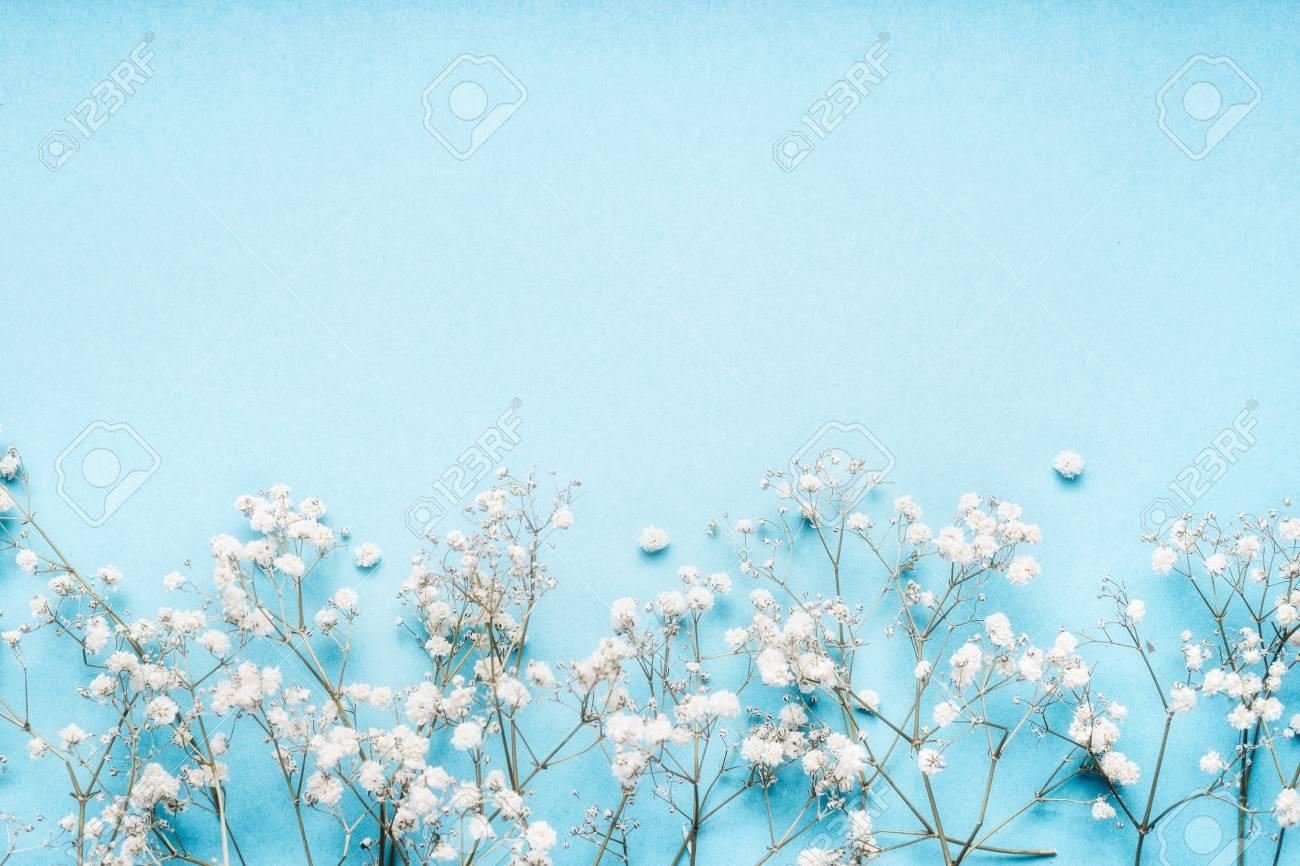 Gypsophila Wallpapers - Top Free Gypsophila Backgrounds - WallpaperAccess