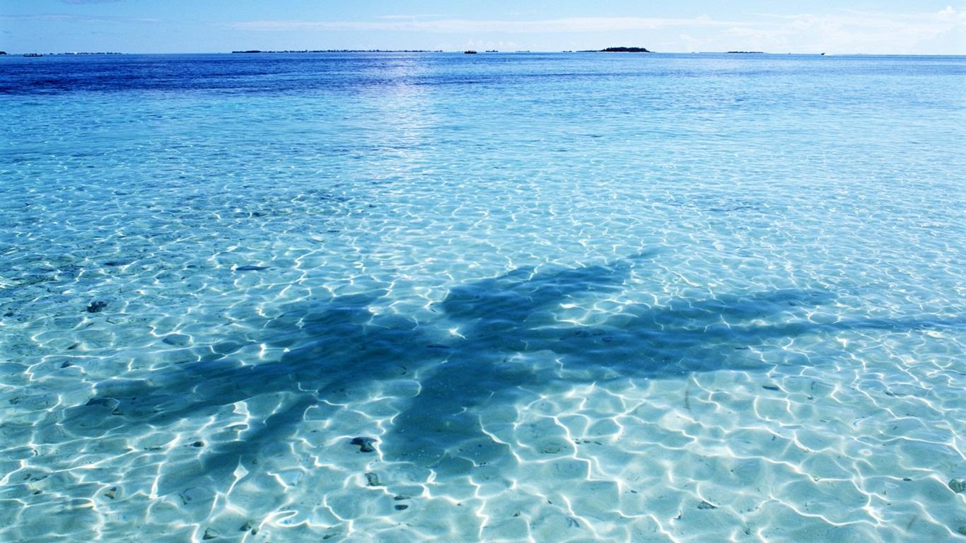 1366x768 Free download Soothing Desktop Background [1366x768] for your Desktop, Mobile & Tablet. Explore Soothing Desktop Background. Soothing Background, Soothing Background, Soothing Background Wallpaper
