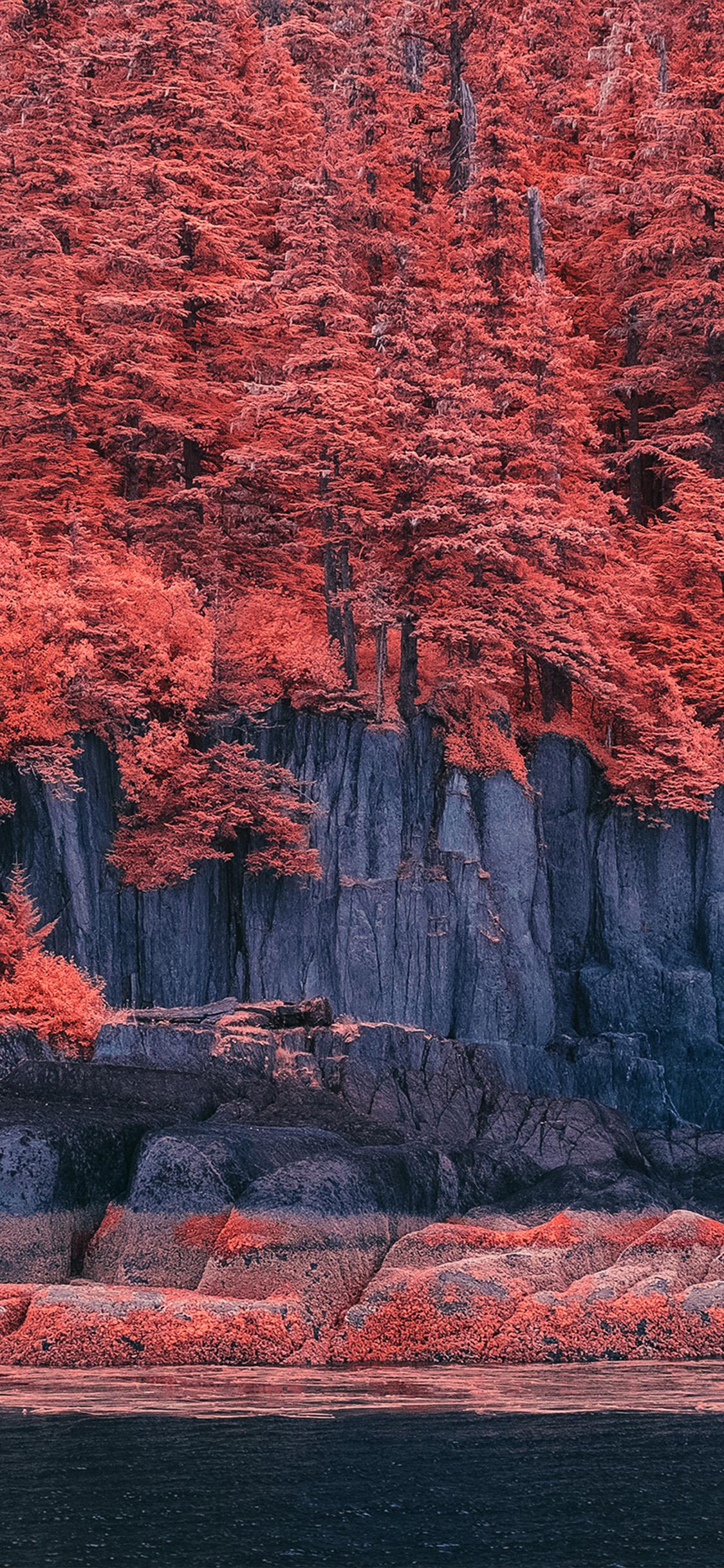 1125x2436 Mountain Red Tree Nature Art Illustration Wallpaper