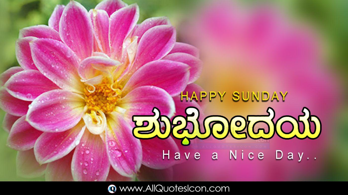 1400x788 Collection Kannada Happy Birthday Greetings Wallpaper Best Wishes Birthday Kannada Quotes Image.. Image quotes, Morning quotes image, Good night quotes image