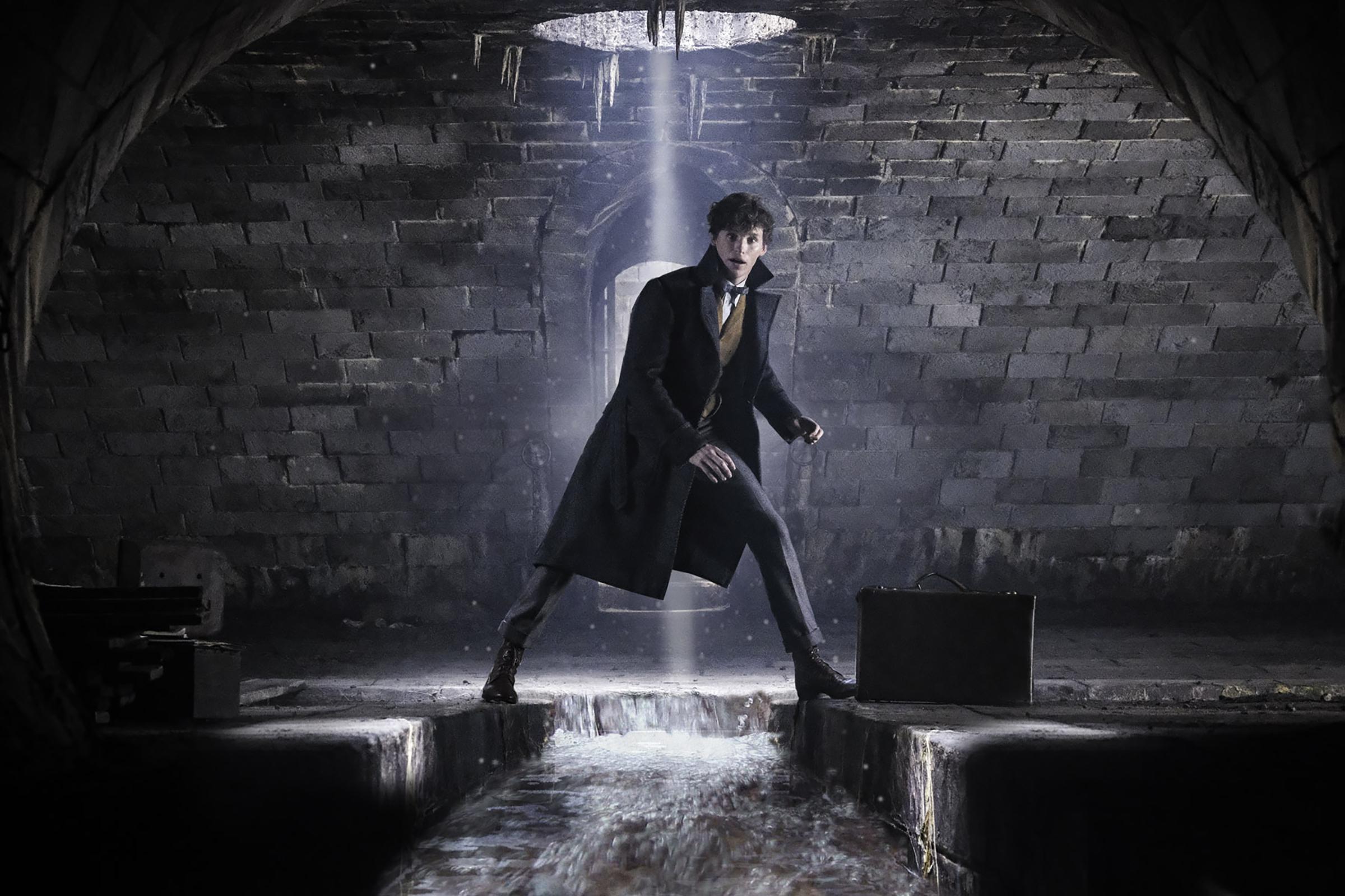 2400x1599 Free download New image from Fantastic Beasts The Crimes of [2400x1599] for your Desktop, Mobile & Tablet. Explore Fantastic Beasts: The Crimes Of Grindelwald Wallpaper. Fantastic Beasts: The Crimes