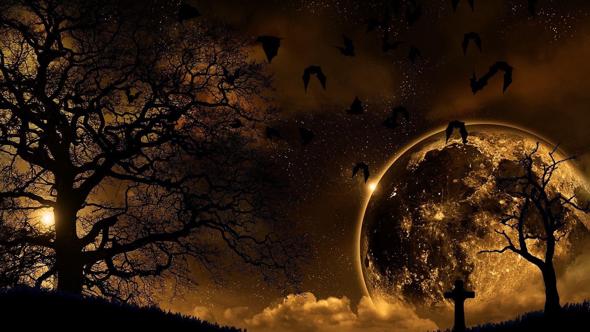 1920x1080 Nature Night Background HD Wallpaper 1080p