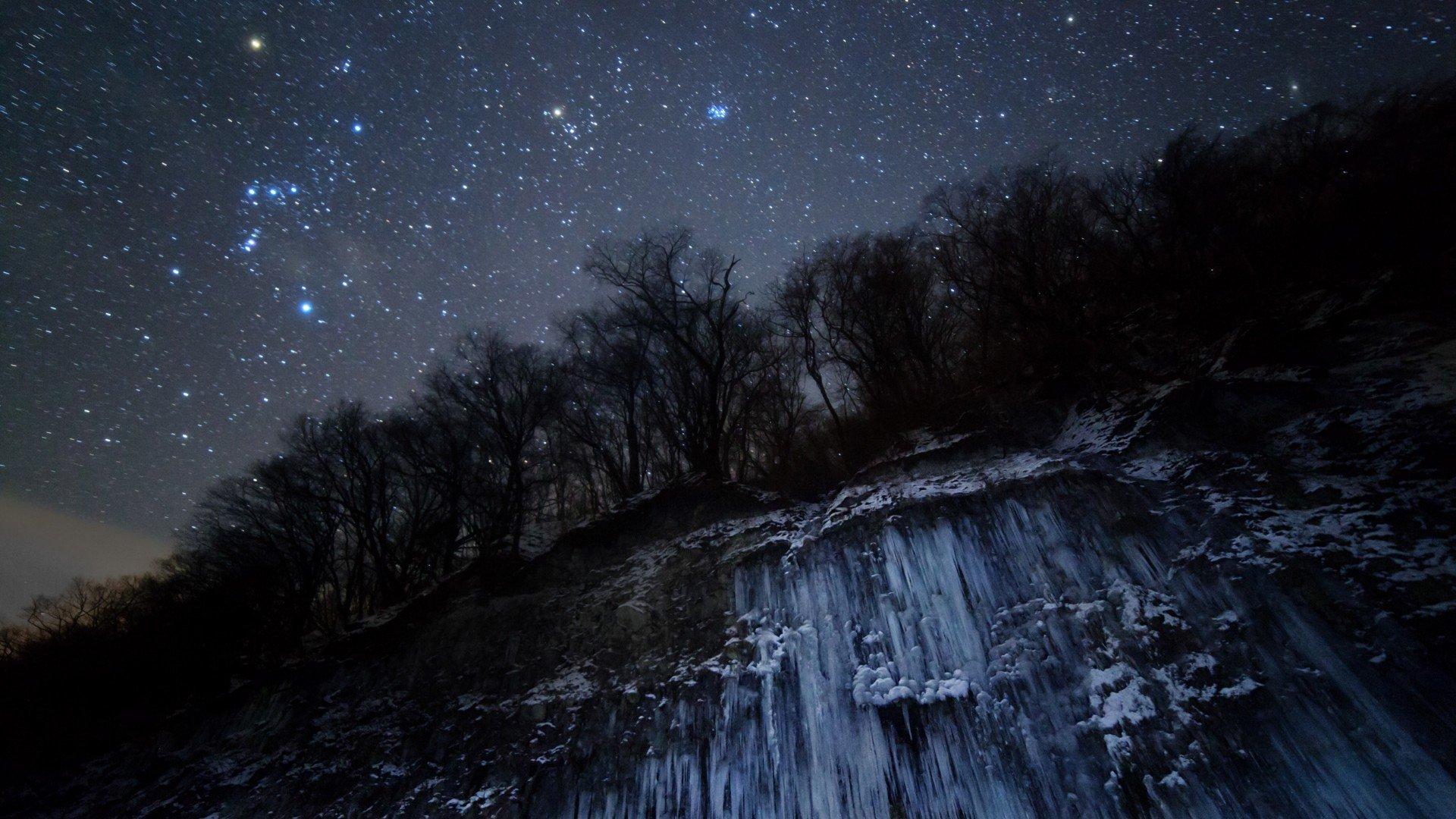1920x1080 sky, Nature, Night, Trees, Stars HD Wallpaper / Desktop and Mobile Image & Photo