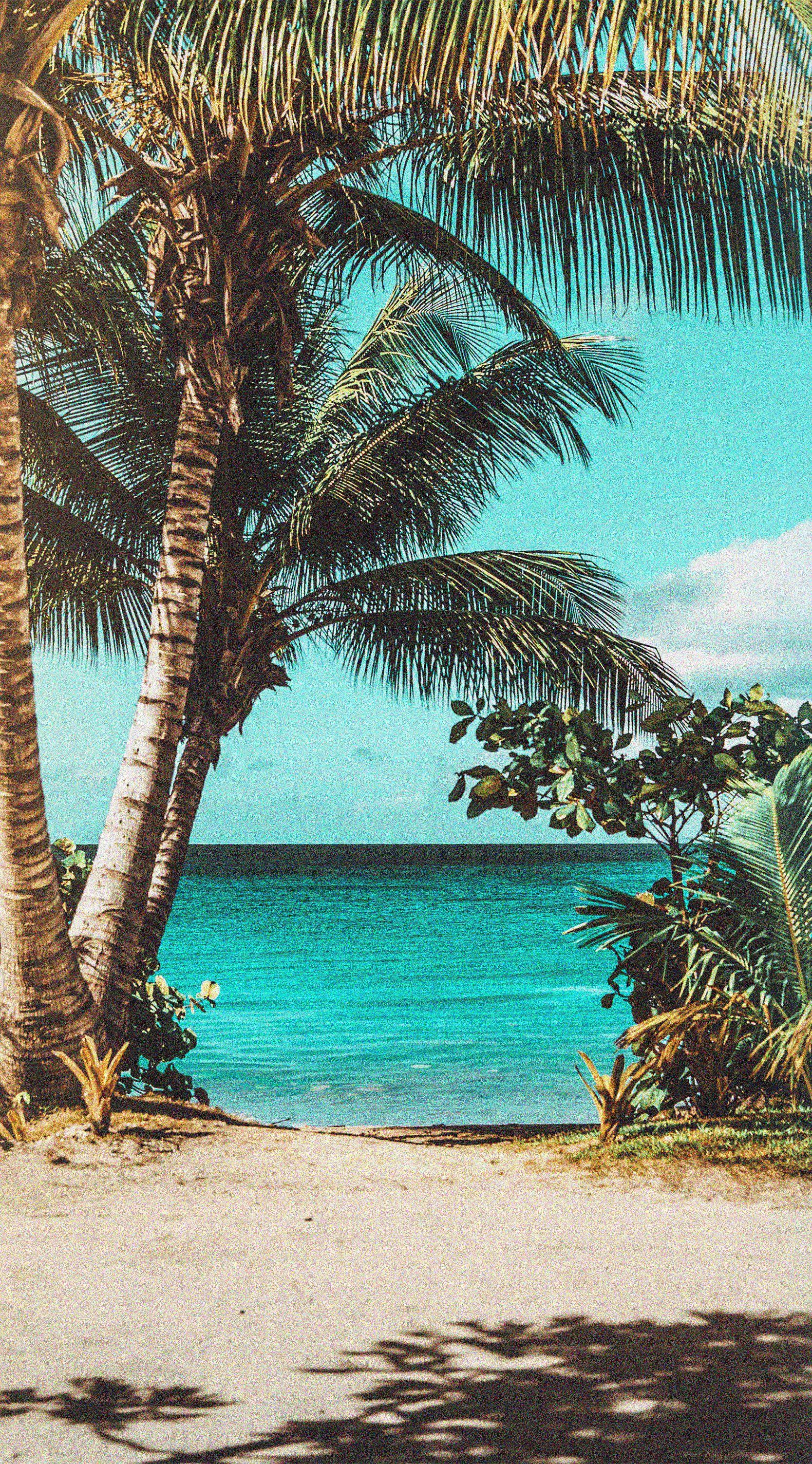 1667x3006 Vsco Aesthetic Wallpaper tropical beach. Beach wall collage, Aesthetic wallpaper, Island wallpaper