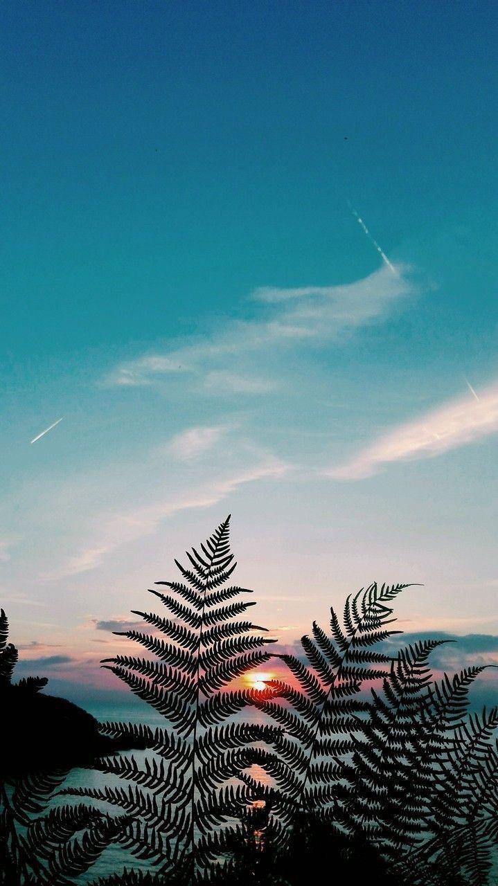719x1280 Blue aesthetic. Landscape wallpaper, Beach wallpaper iphone, Beautiful wallpaper