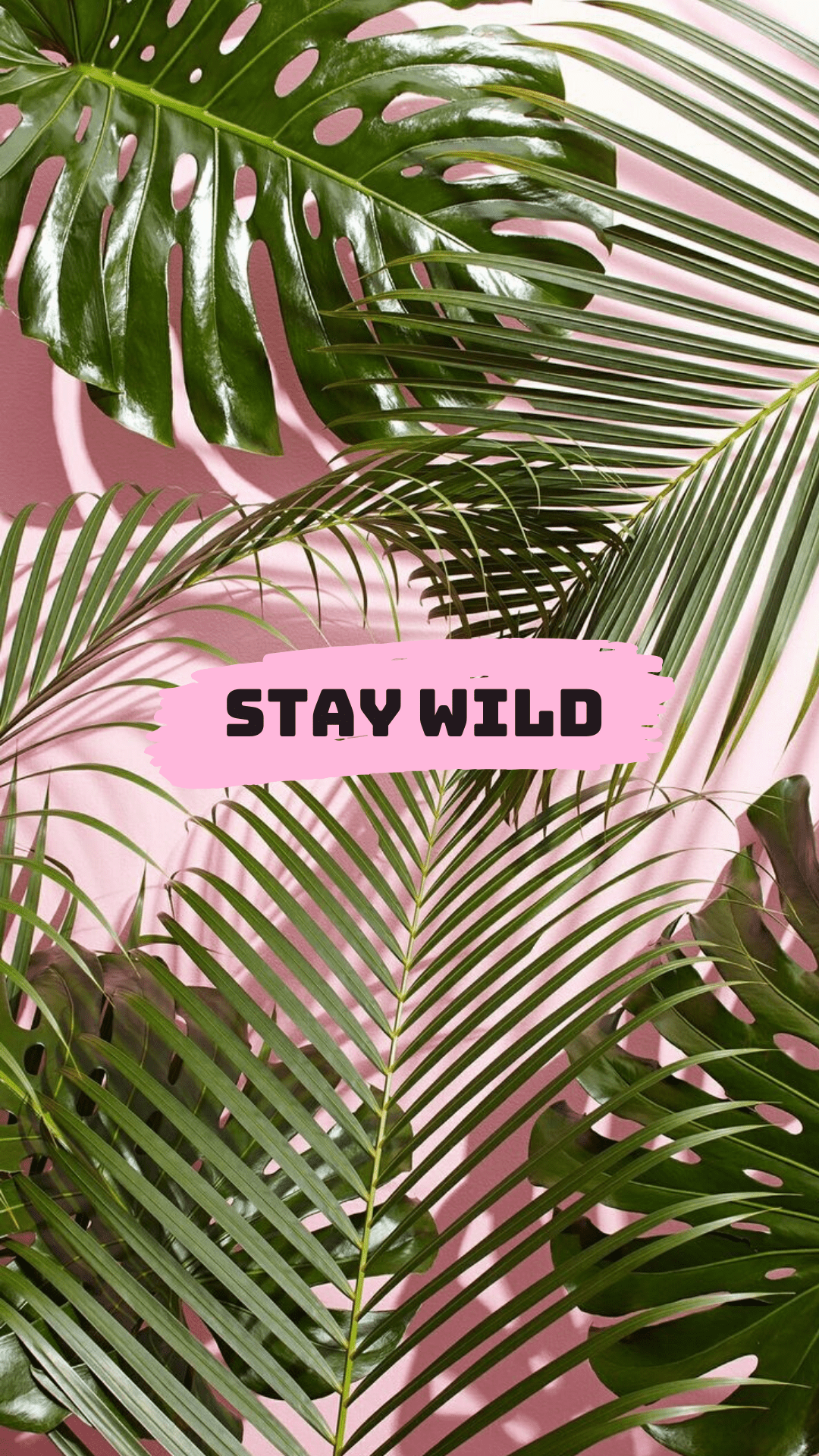 1080x1920 Unique and Inspirational Wallpaper for iPhone !. Stay wild !. Inspirational wallpaper, Wallpaper iphone summer, Cool wallpaper for phones