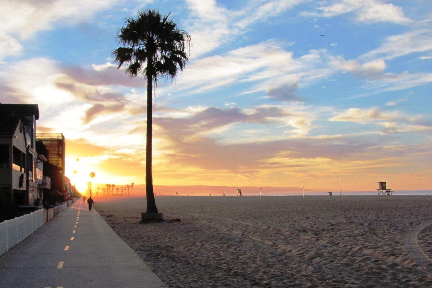 1439x960 The Lone Palm. Sunrise beach, Beautiful sunrise, Newport beach