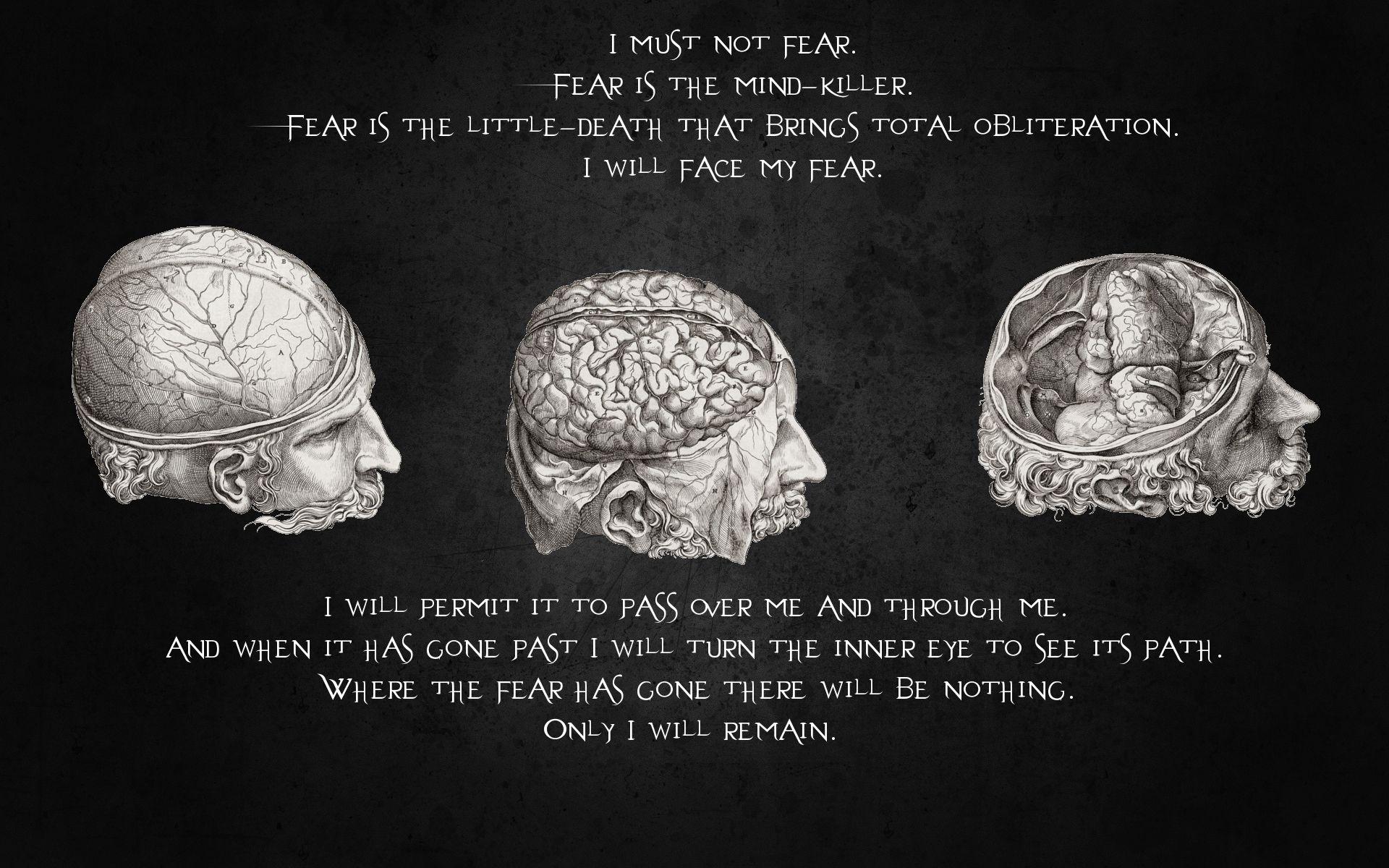 1920x1200 Psychology Wallpaper