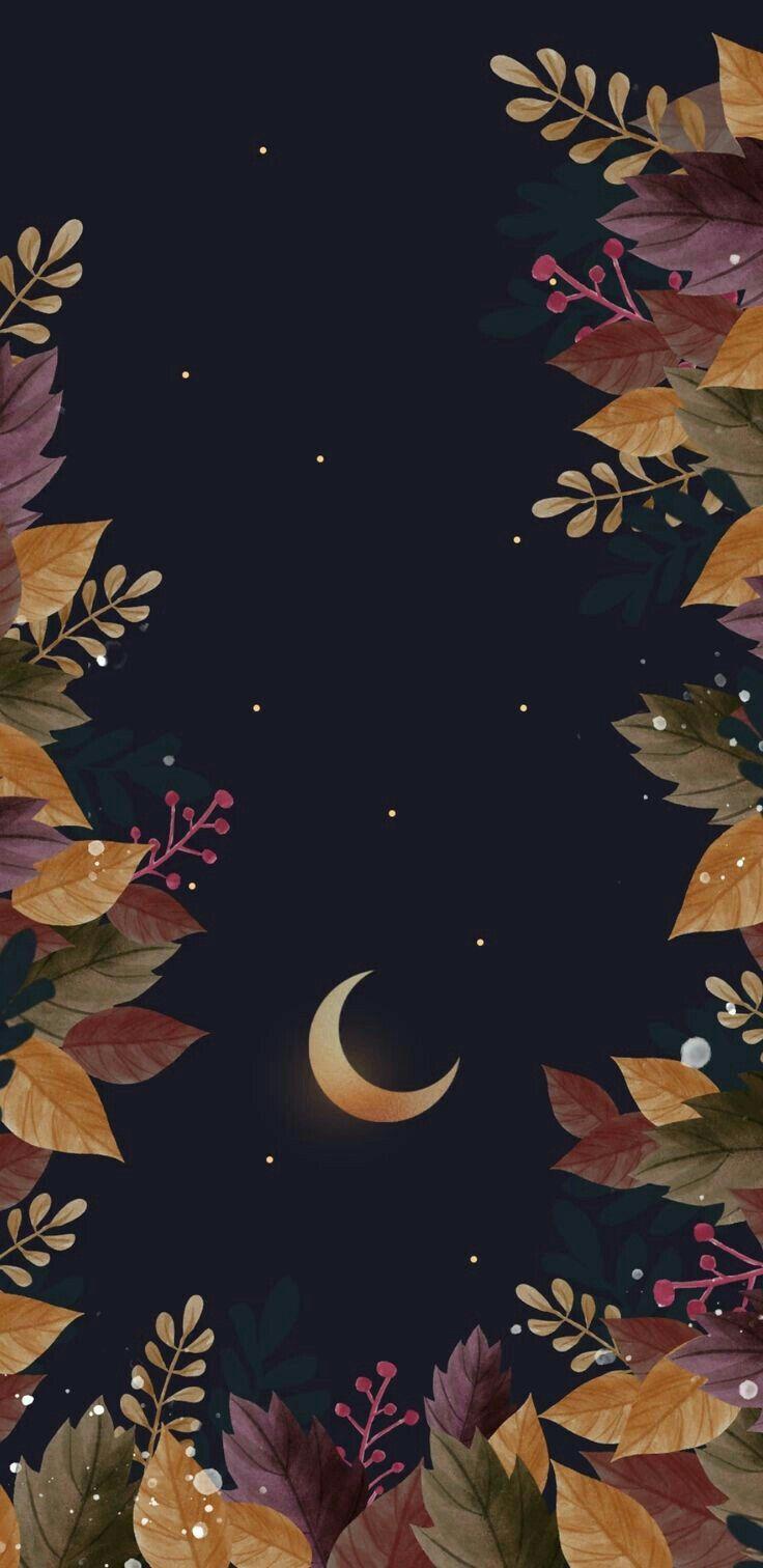 736x1512 Le papier peint de M. Android wallpaper nature, Witchy wallpaper, Witch wallpaper