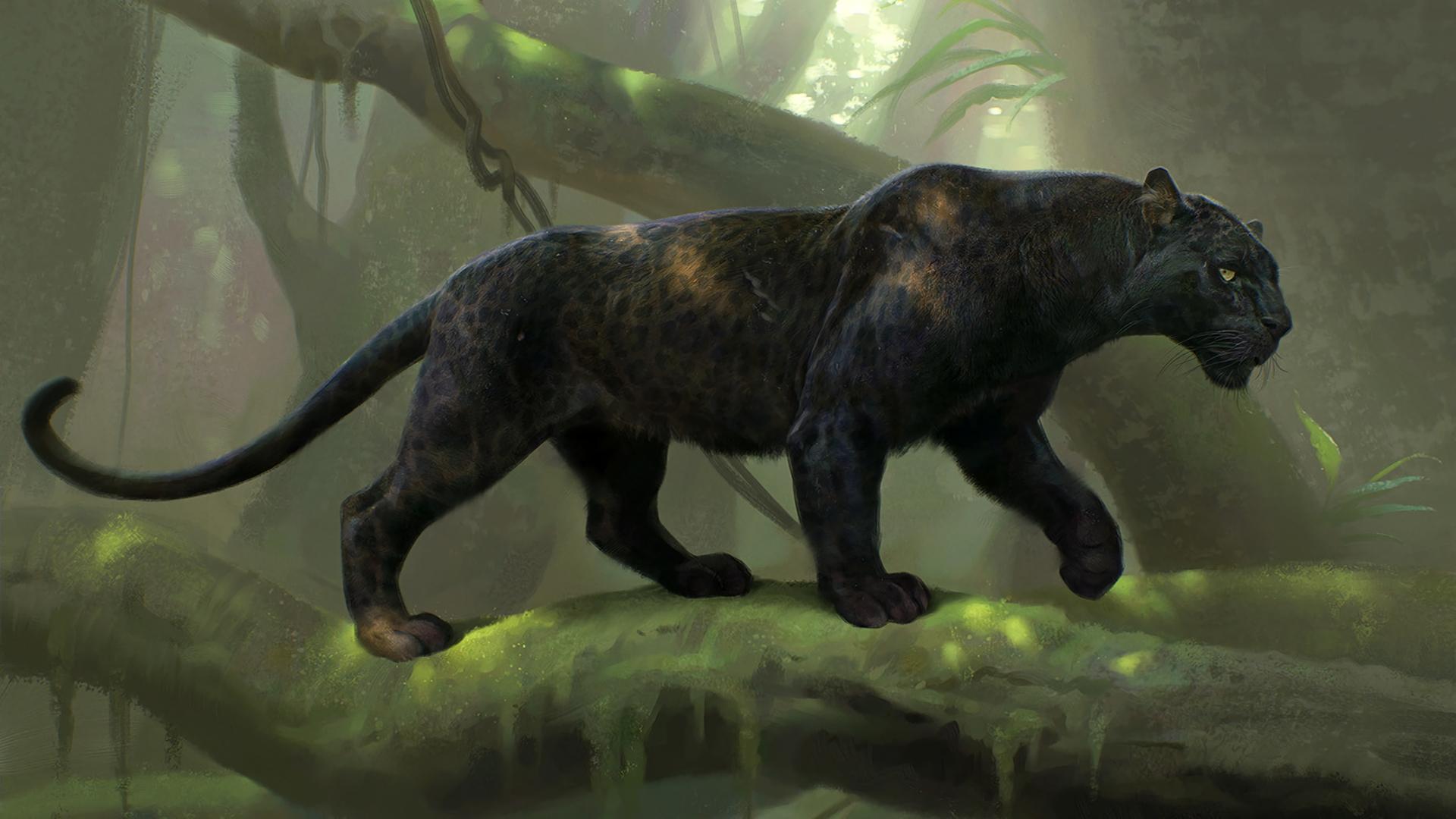 1920x1080 Black Panther Animal HD Wallpaper Panther Animal