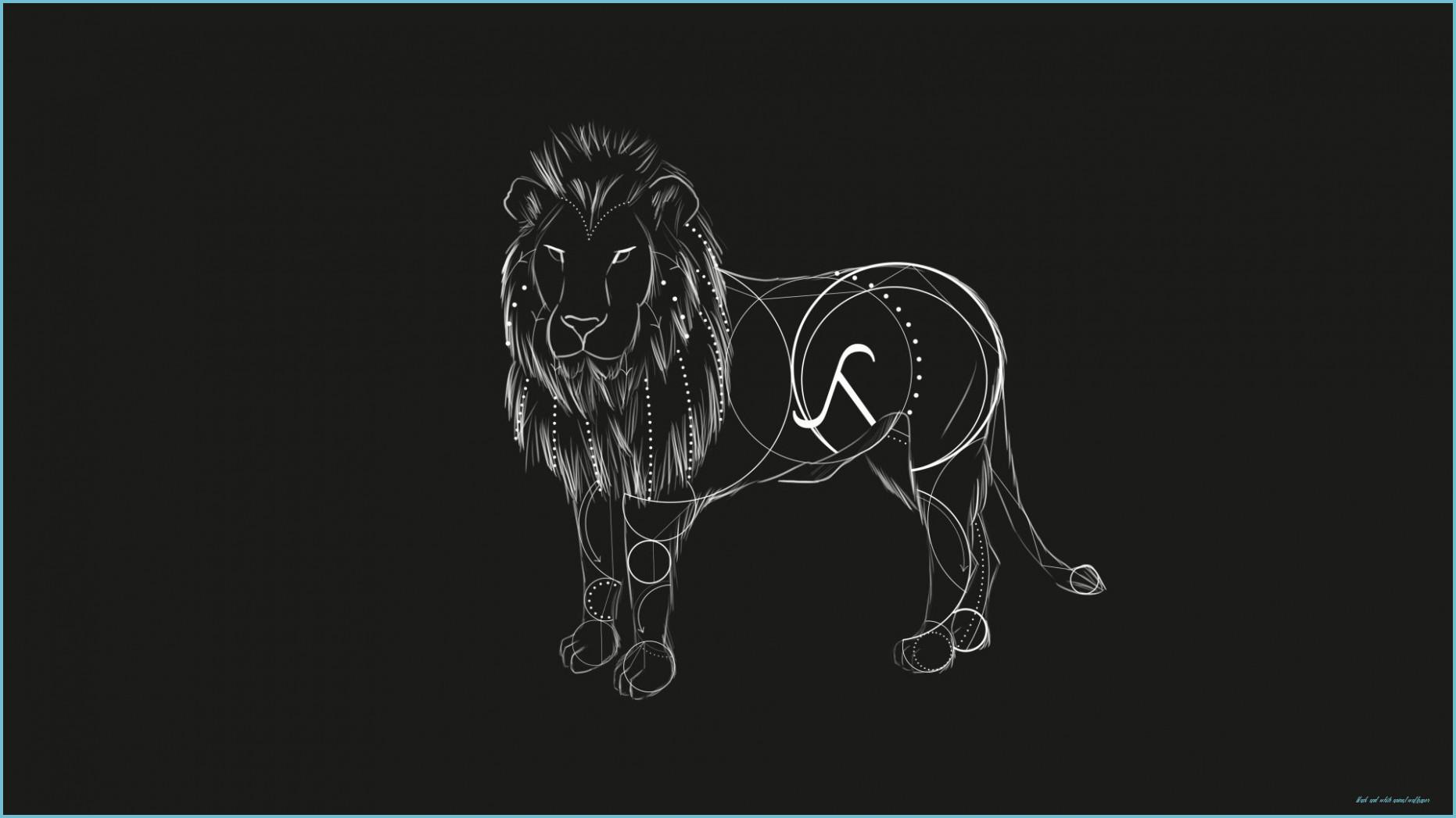 1862x1047 Lion Black And White Wallpaper And White Animal Wallpaper