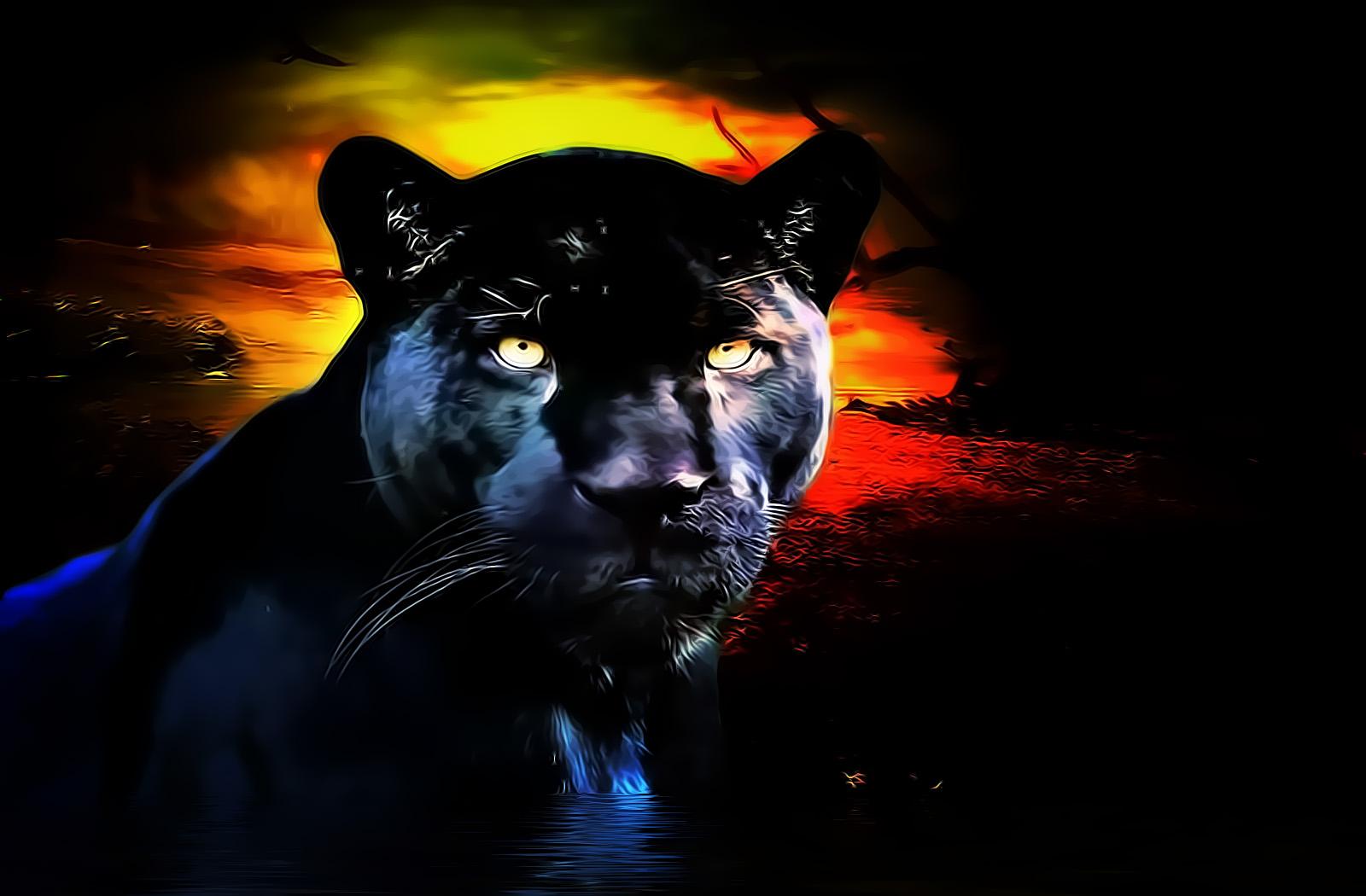1600x1050 Wallpaper Animals Black Panther Animal Wallpaper