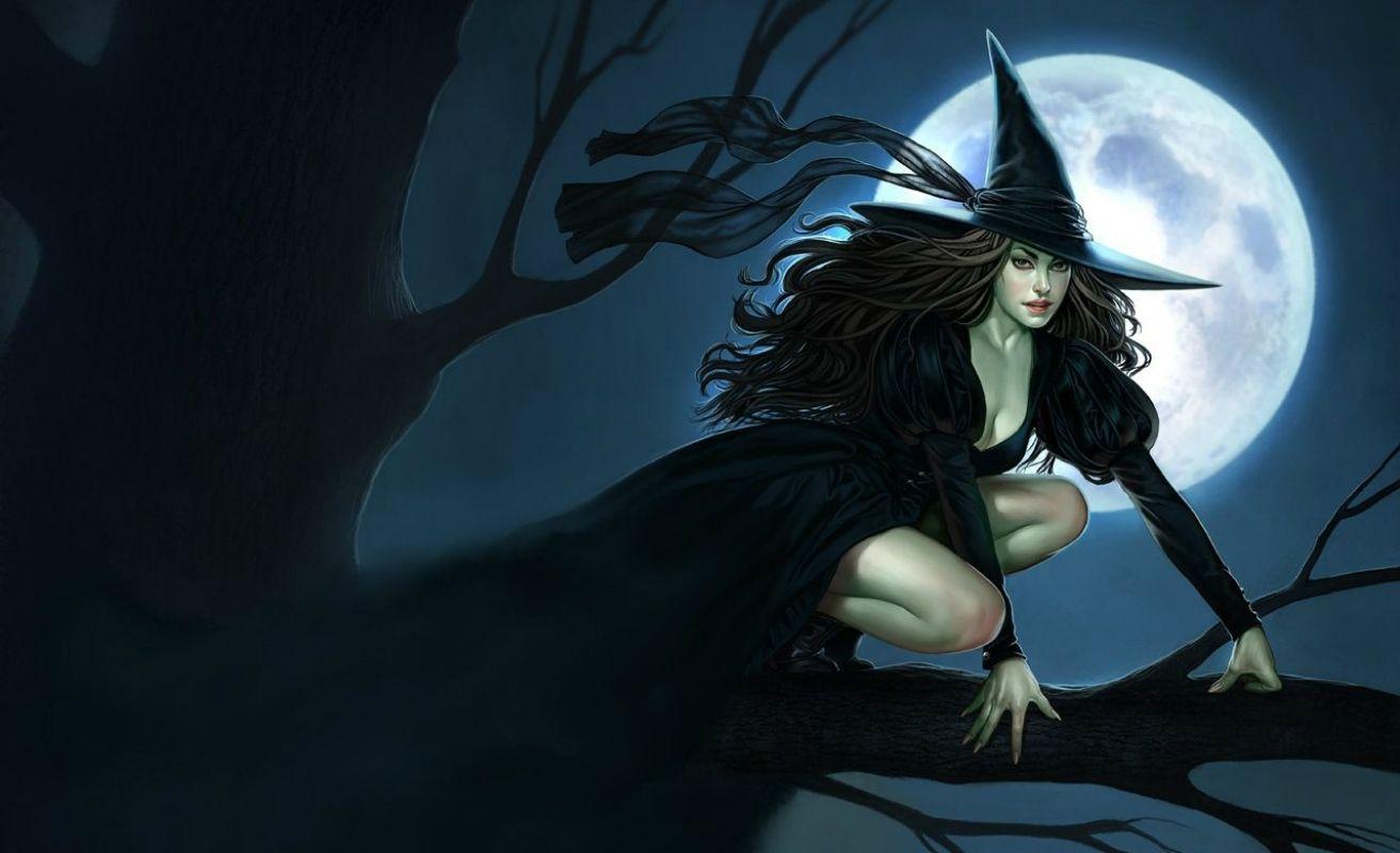 1313x800 Witch Wallpaper