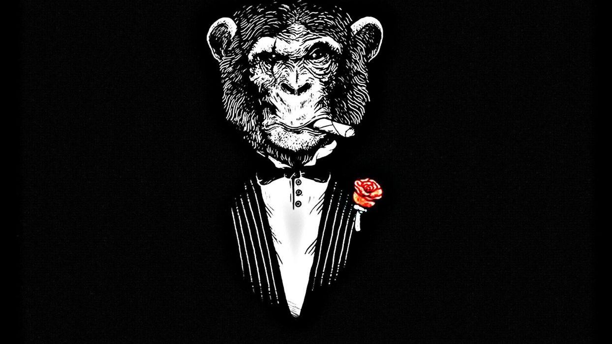 1244x700 Animals monkeys black background wallpaperx1080