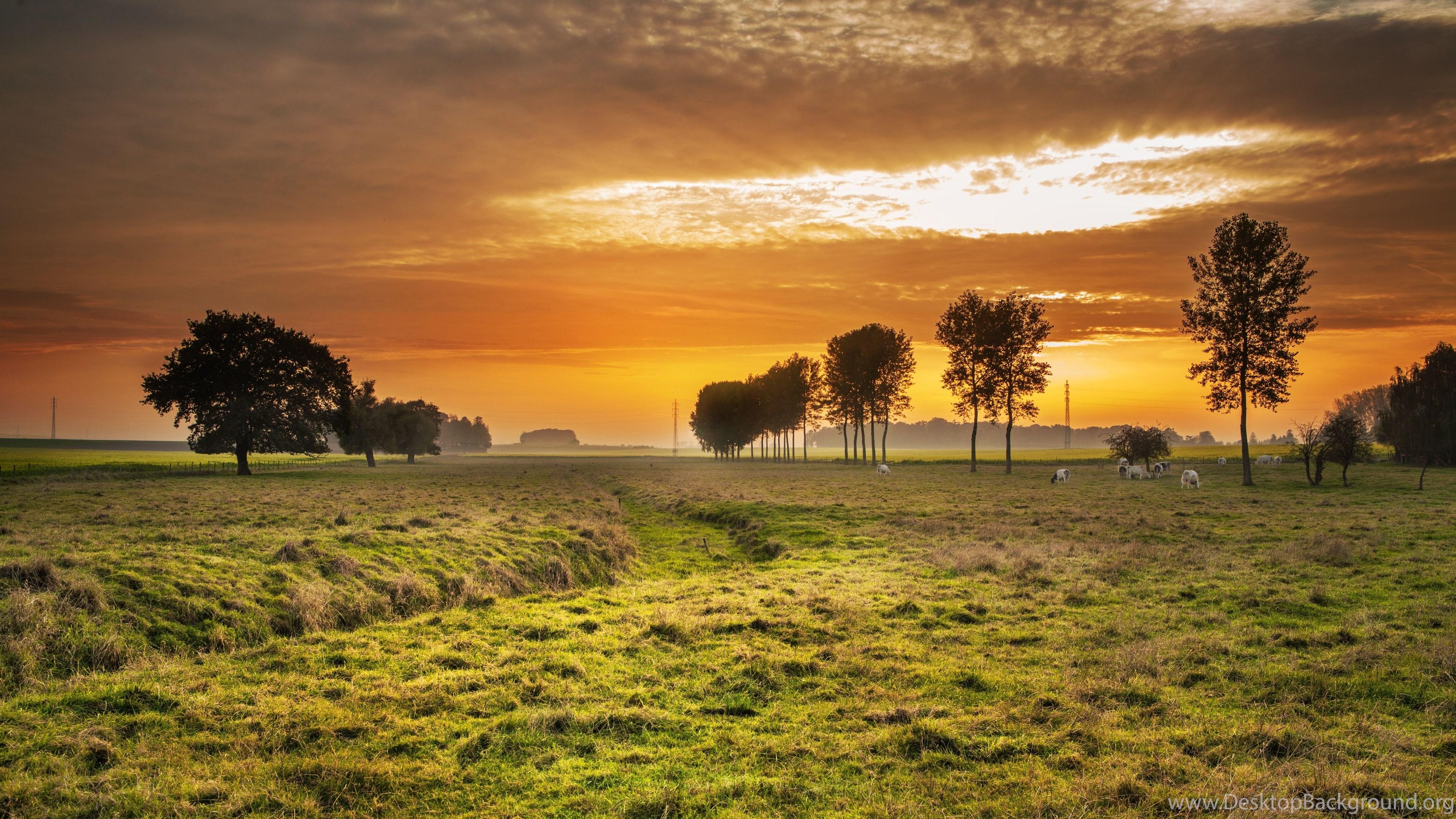 3840x2160 HD Wallpaper · Desktop Background