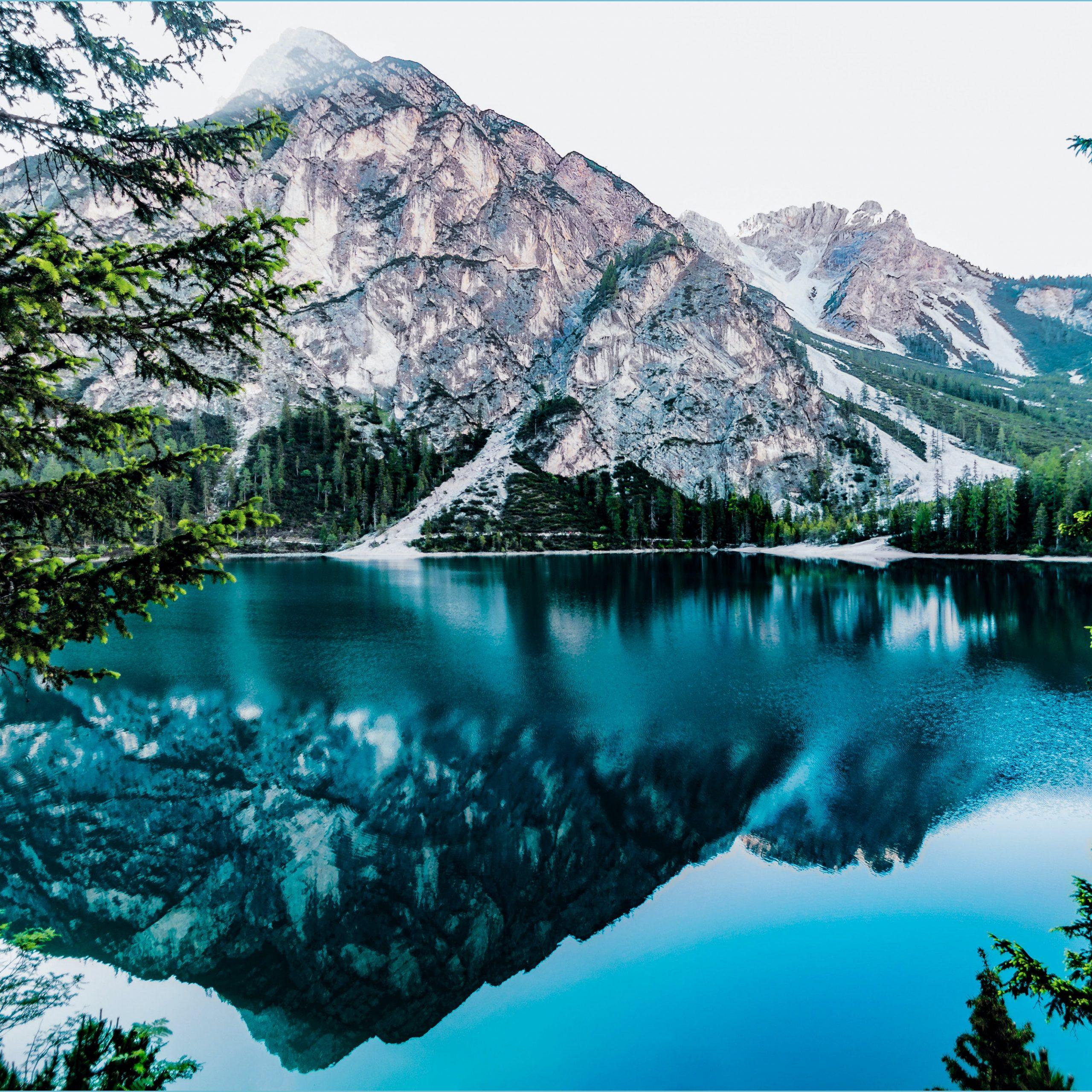 2560x2560 HD Wallpaper · Resolution Desktop Wallpaper