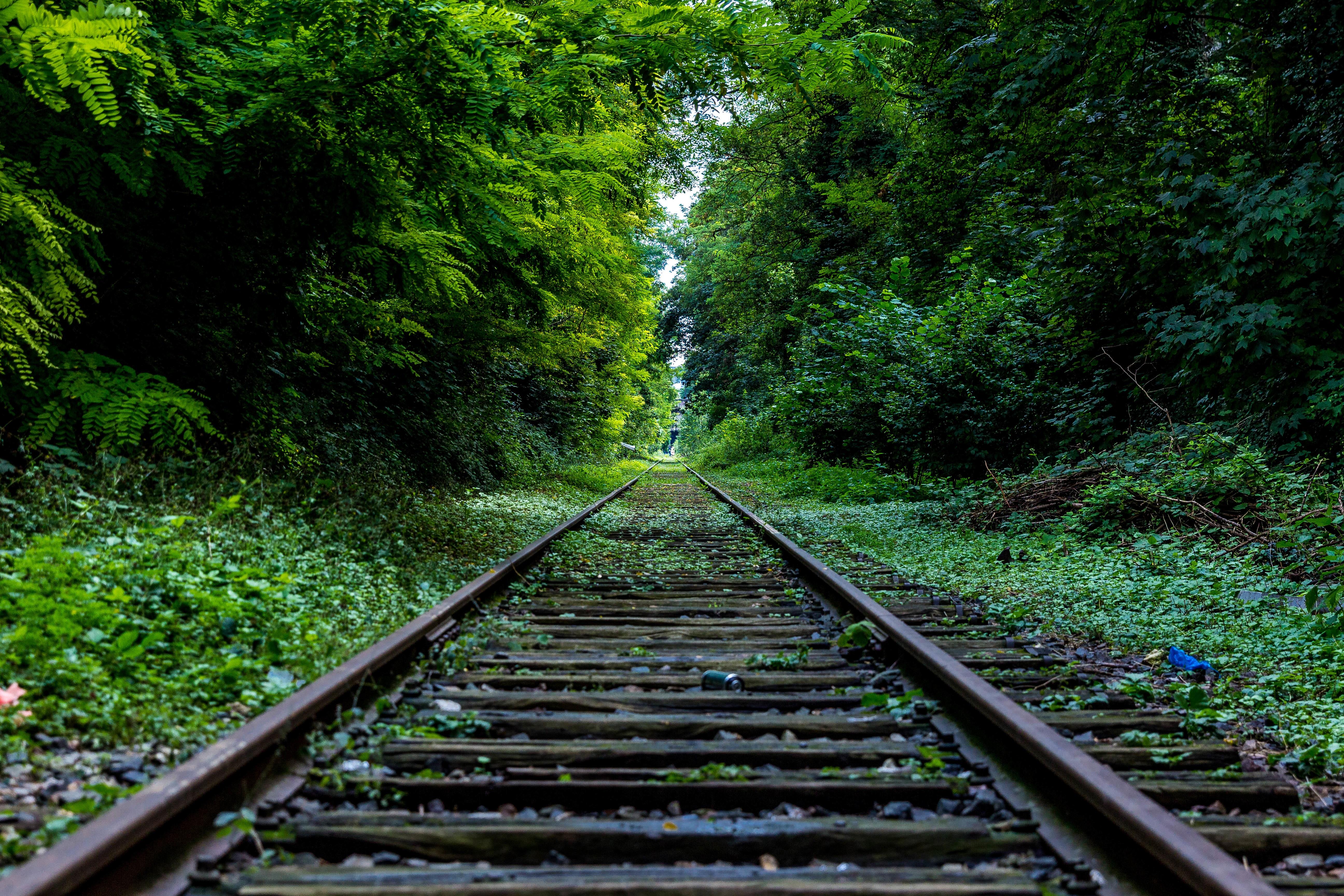 5184x3456 Railway Surround by Trees · Free